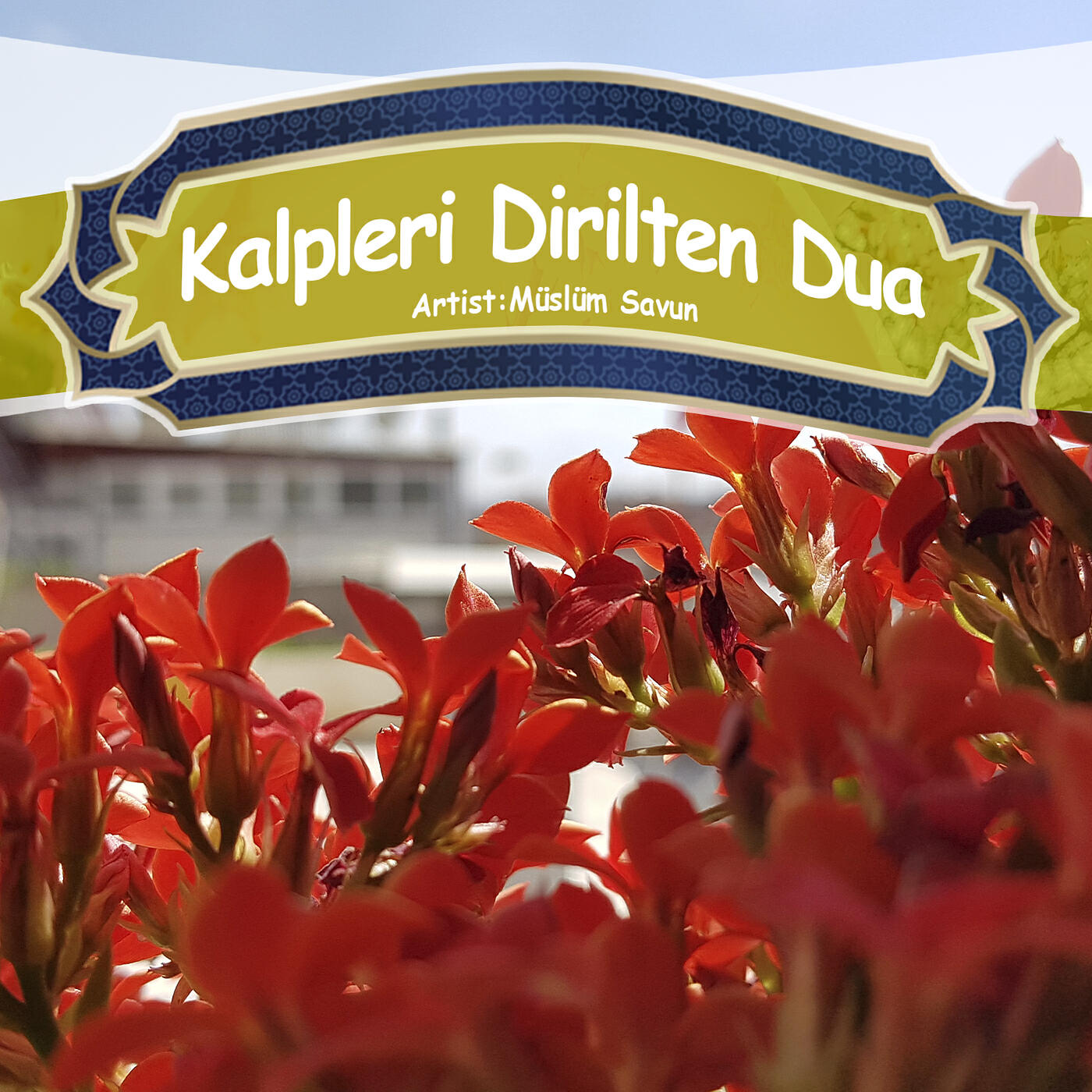 Релиз Kalpleri Dirilten Dua