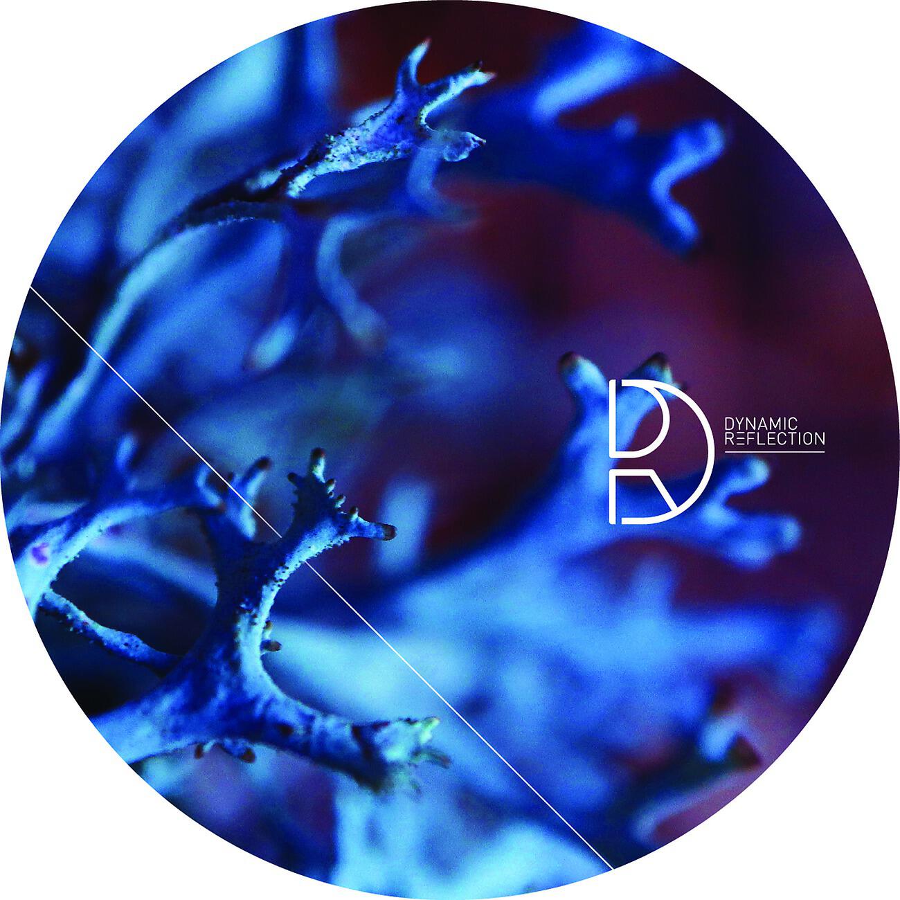 Релиз Pure Coincidence EP