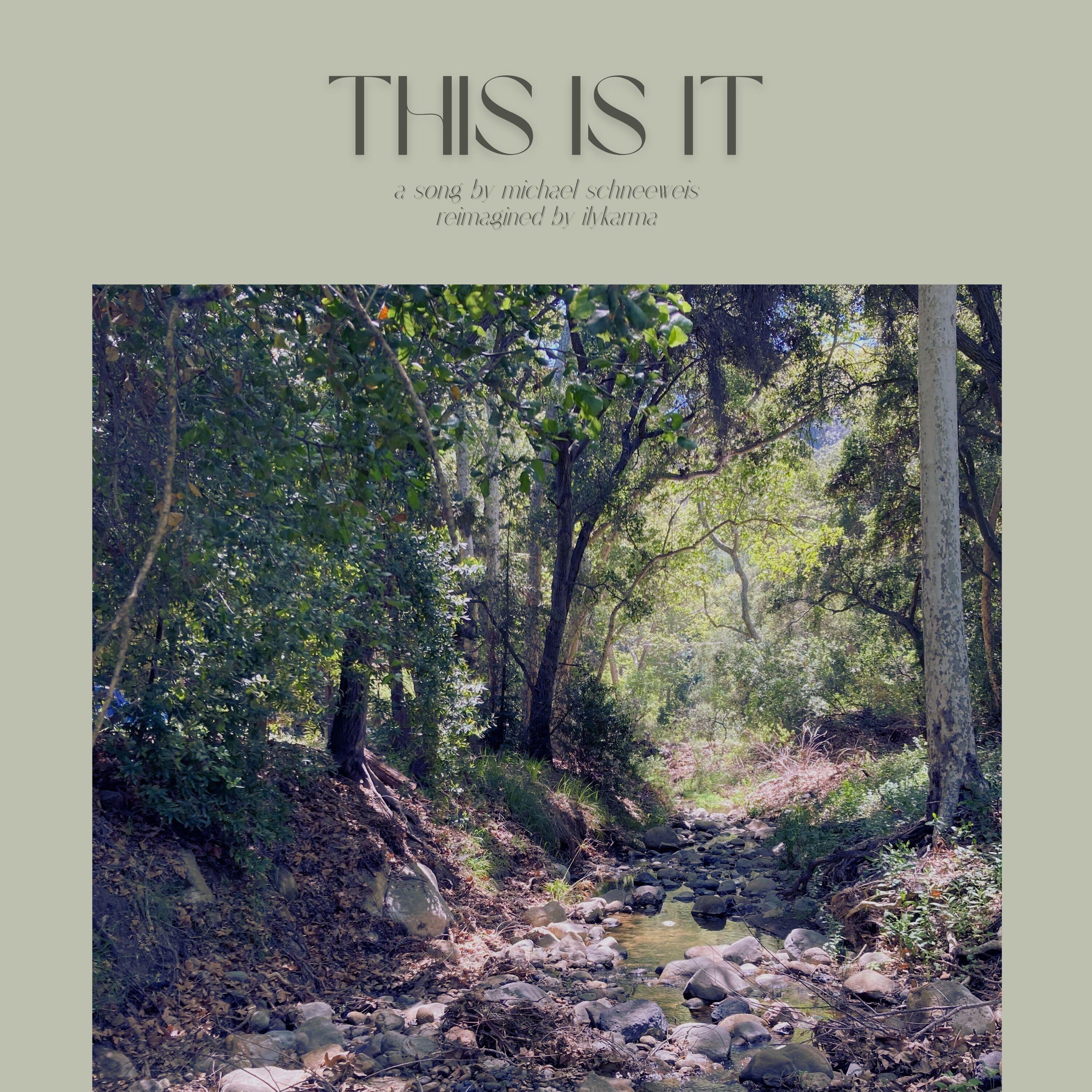 Релиз This Is It (the remixes)