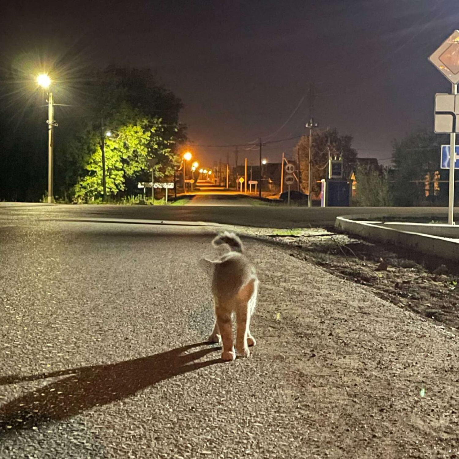 Релиз Уа