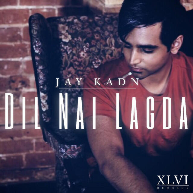Релиз Dil Nai Lagda