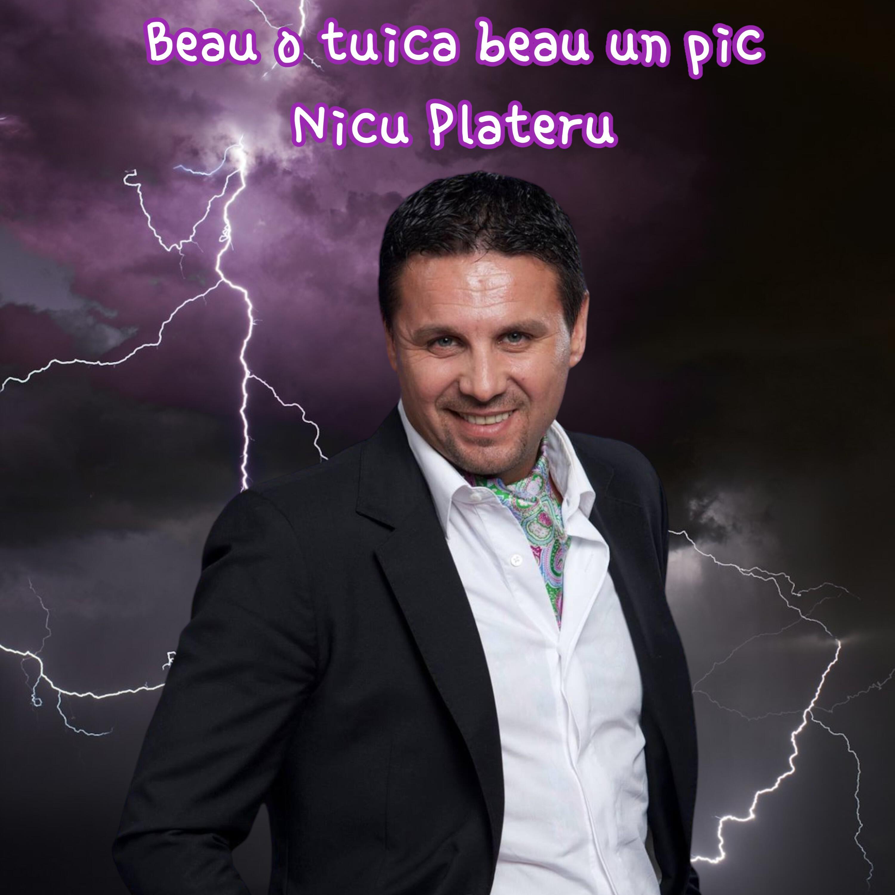 Скачать песню Nicu Paleru - Beau o tuica beau un pic бесплатно в MP3 для Android и iOS