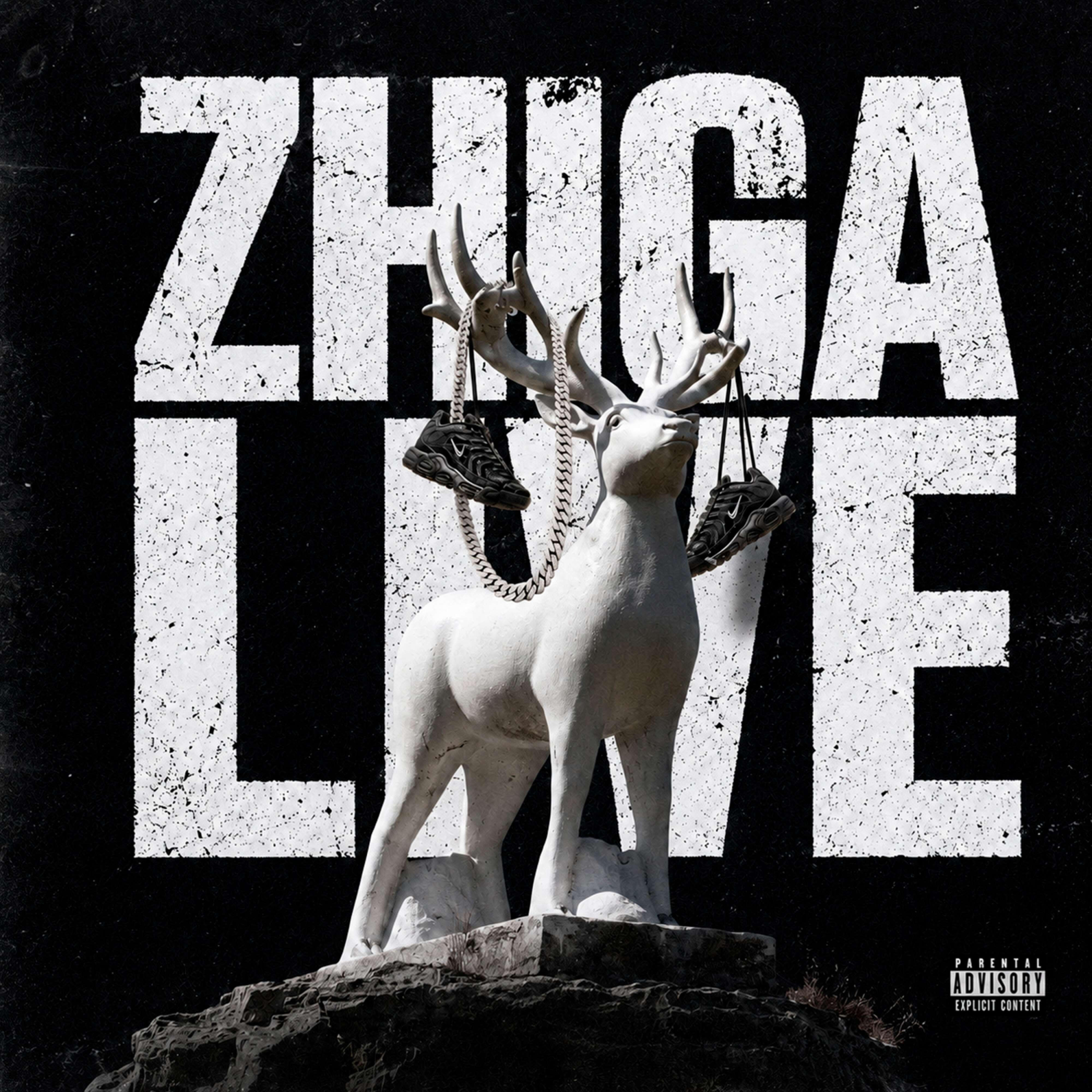 Релиз ZHIGA LIVE