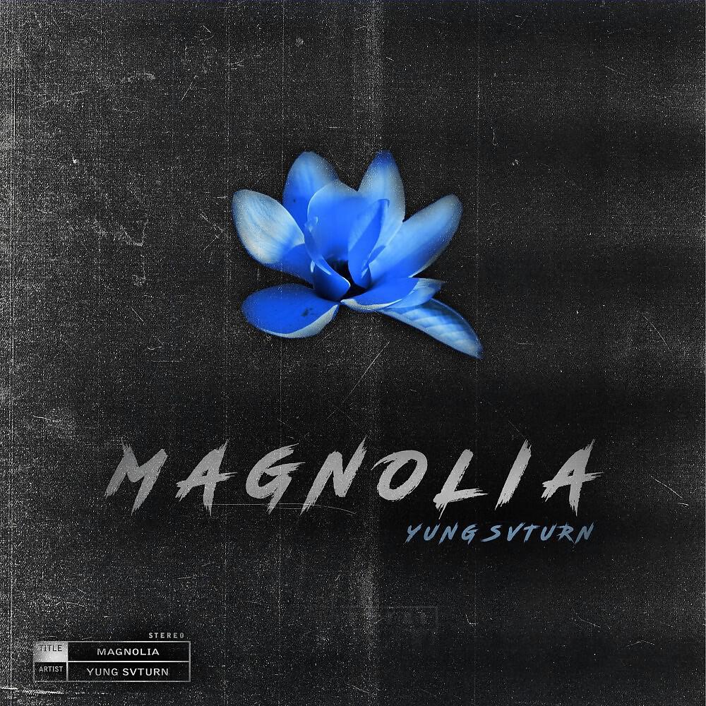 Релиз Magnolia