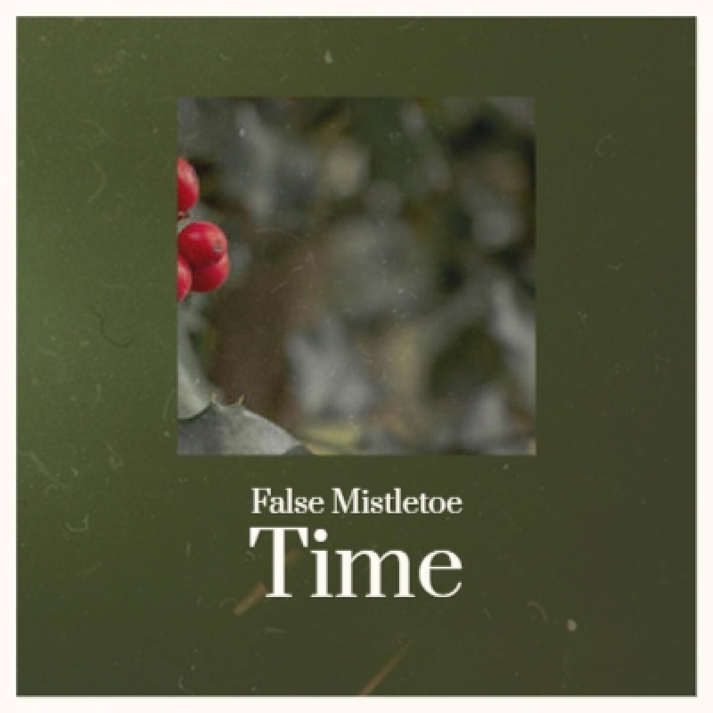 Релиз False Mistletoe Time
