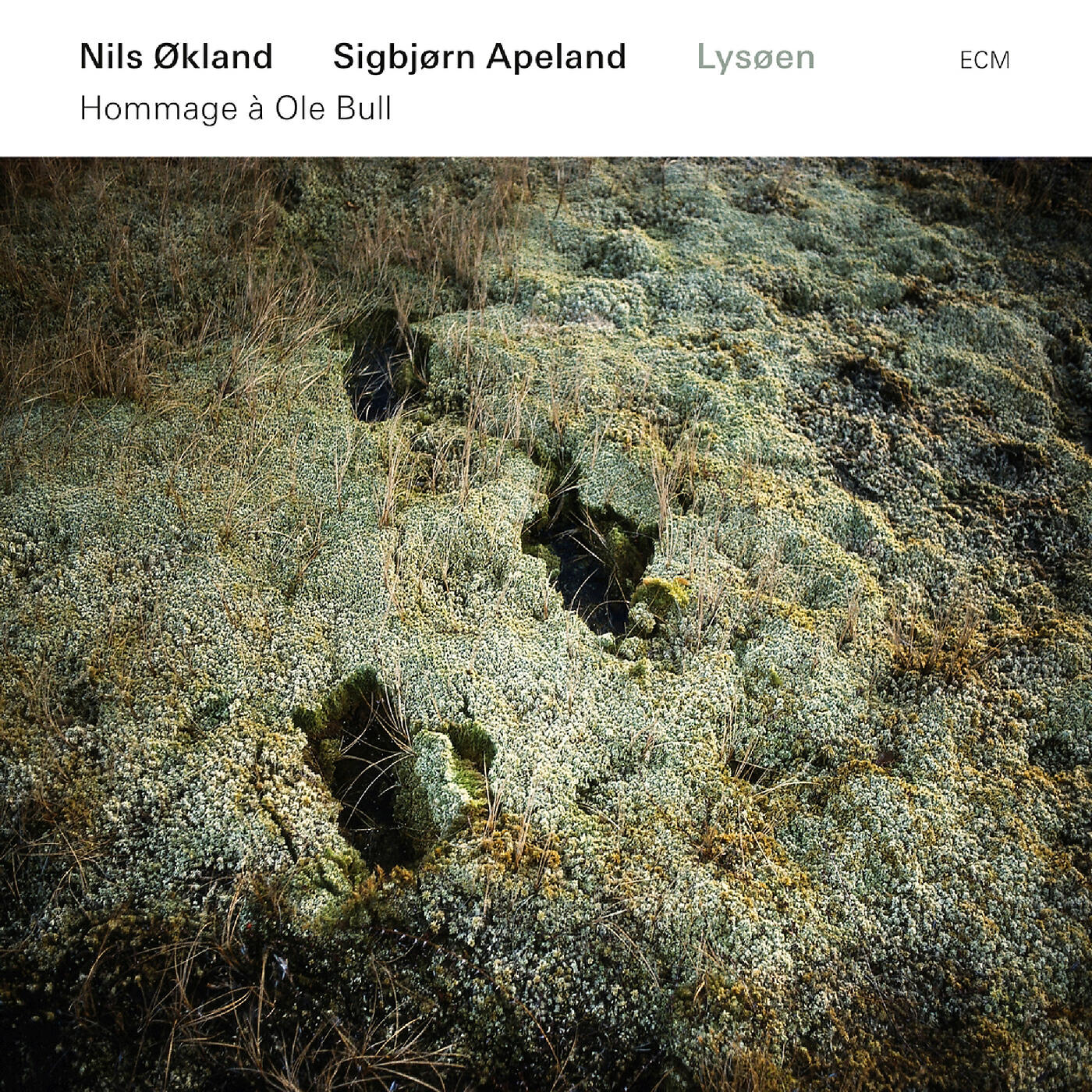 Релиз Lysøen (Hommage à Ole Bull)