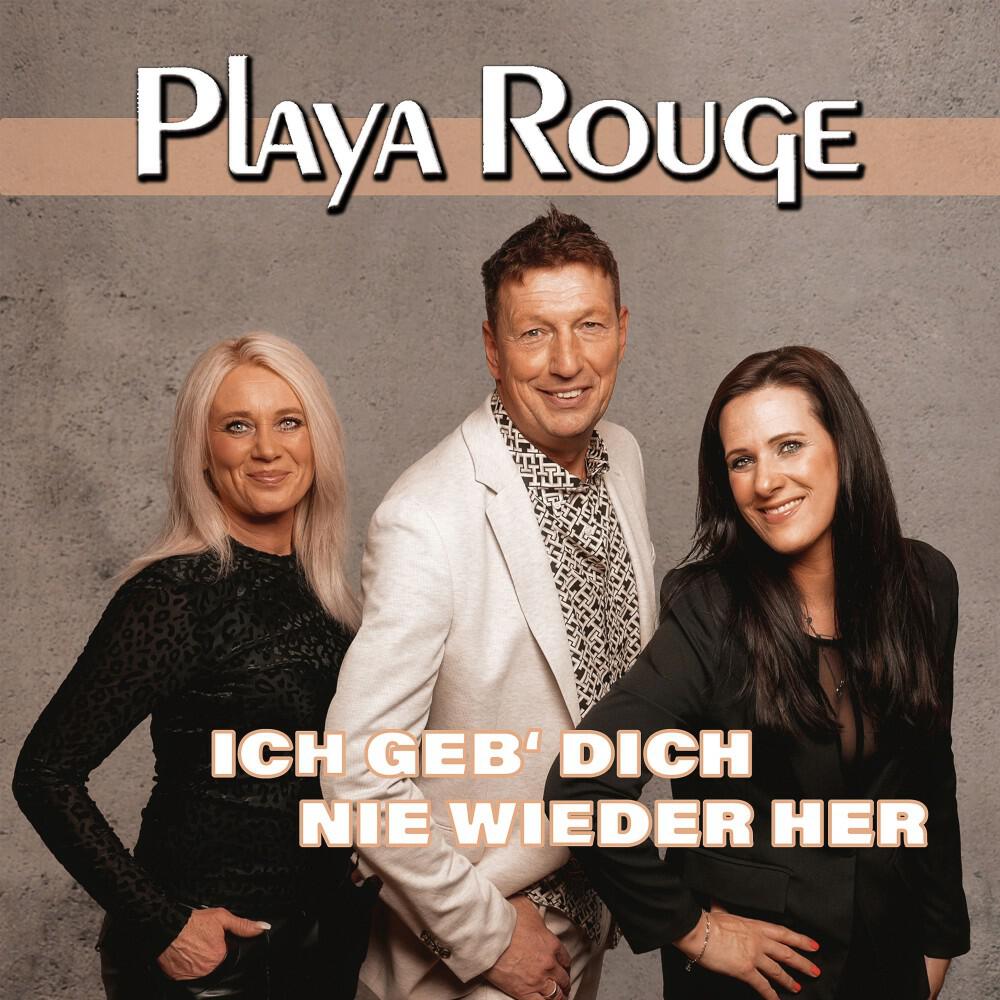 Релиз Ich geb' Dich nie wieder her (Coverversion)