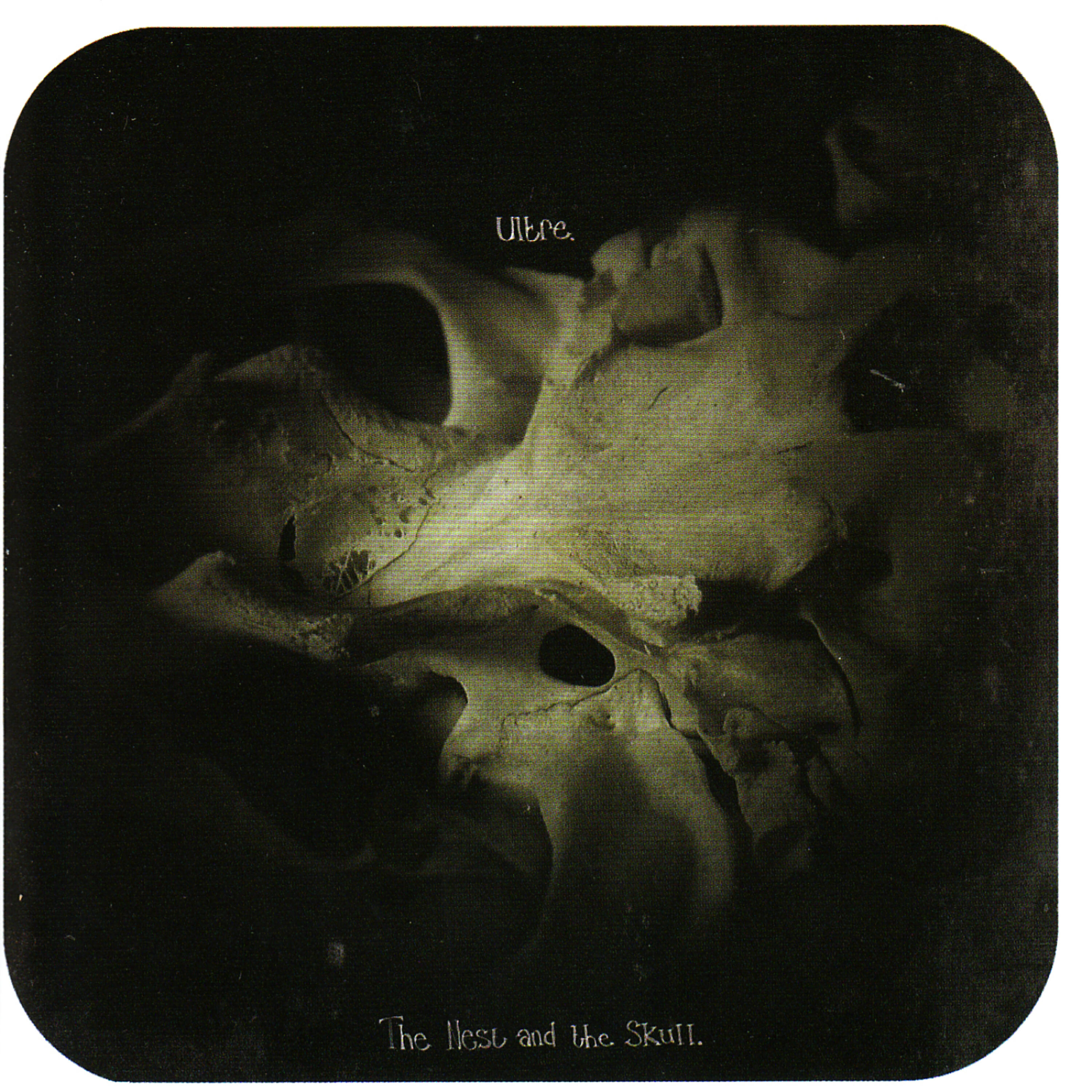 Релиз The Nest And The Skull