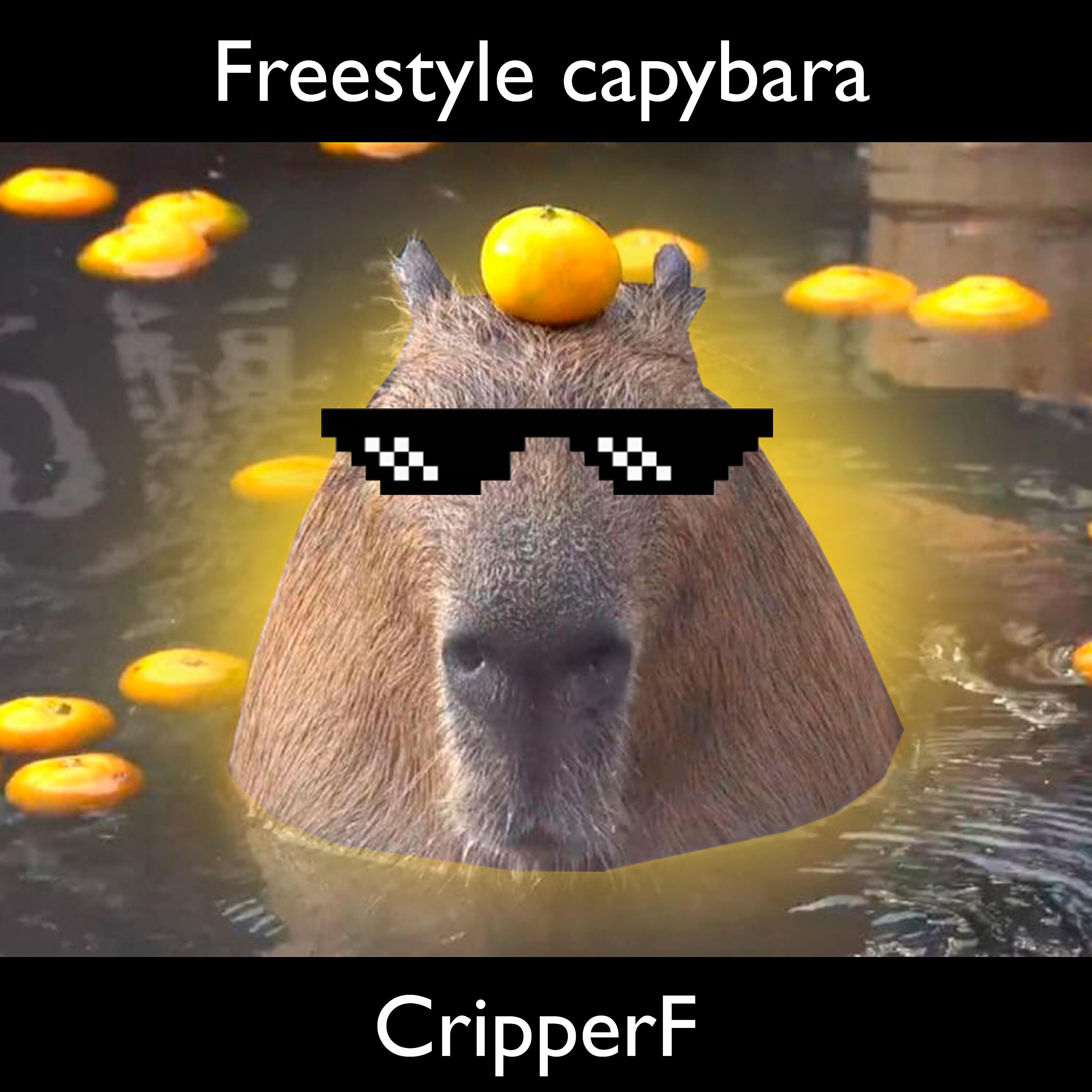 Релиз Freestyle Capybara