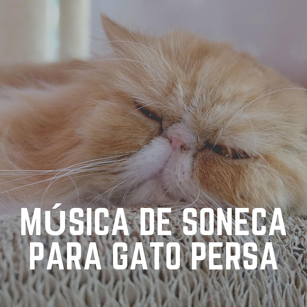 Релиз Música de Soneca para Gato Persa