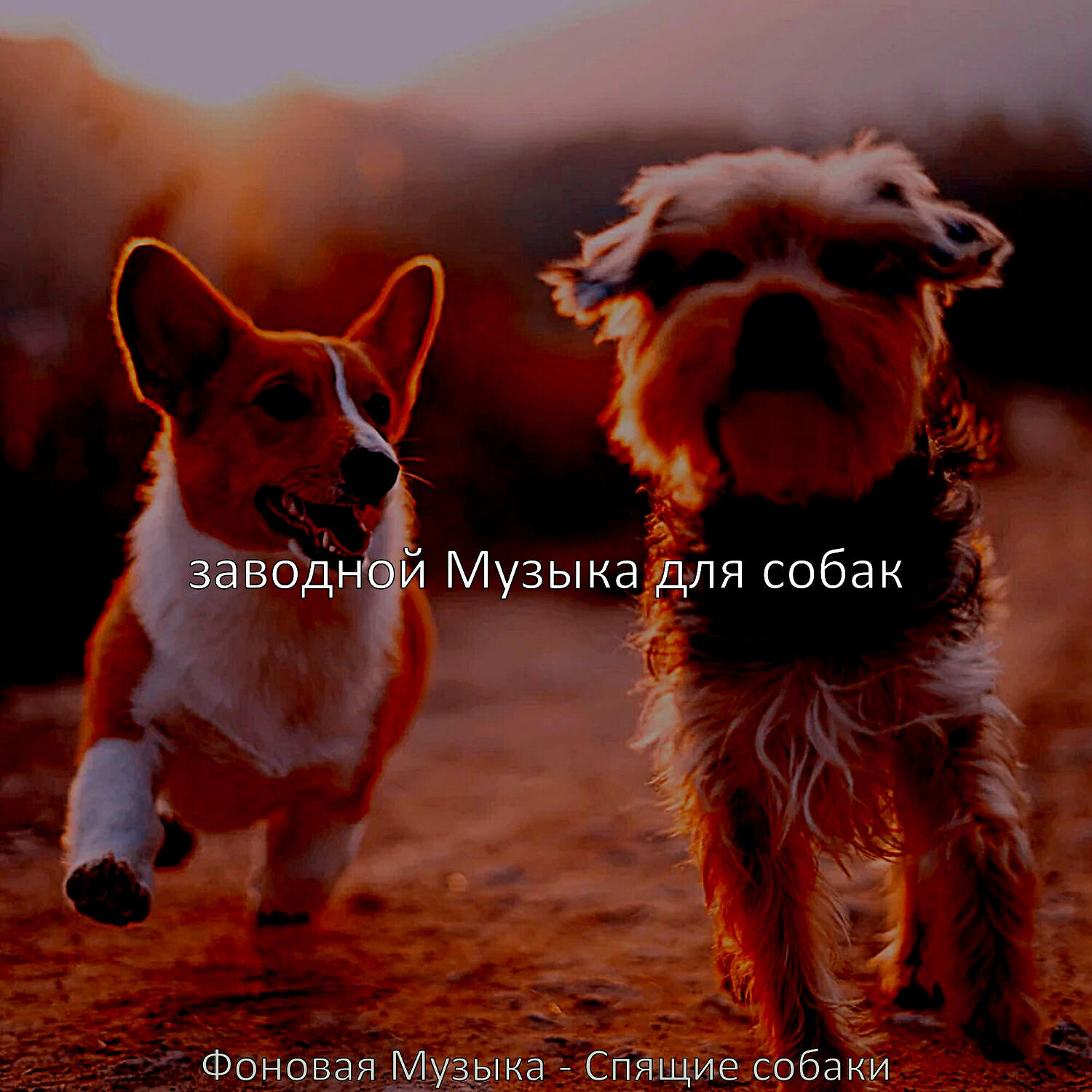 Релиз Фоновая Музыка - Спящие собаки