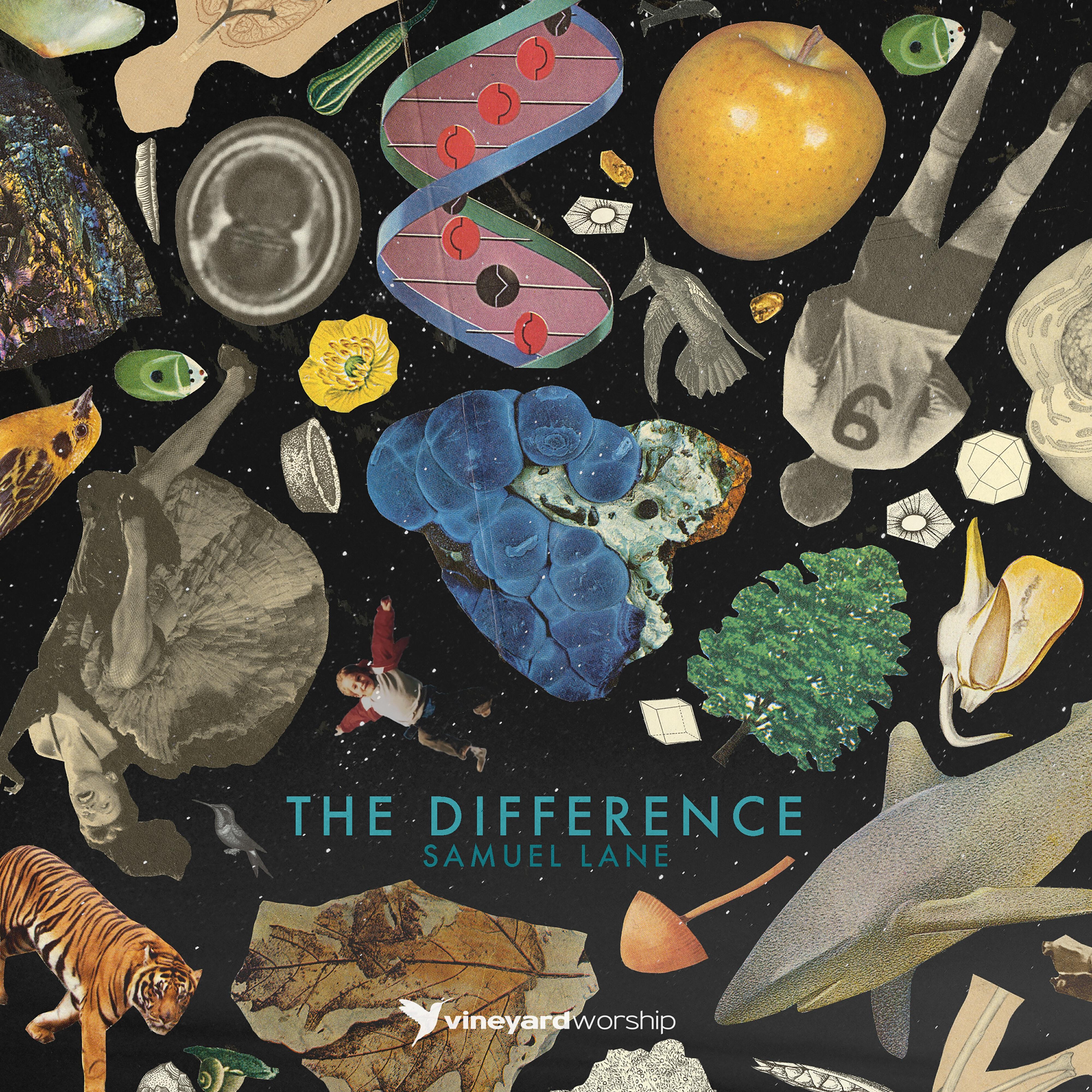 Релиз The Difference