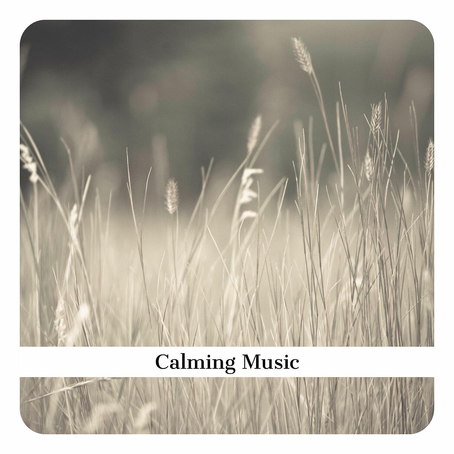 Релиз Calming Music, Relaxation Music