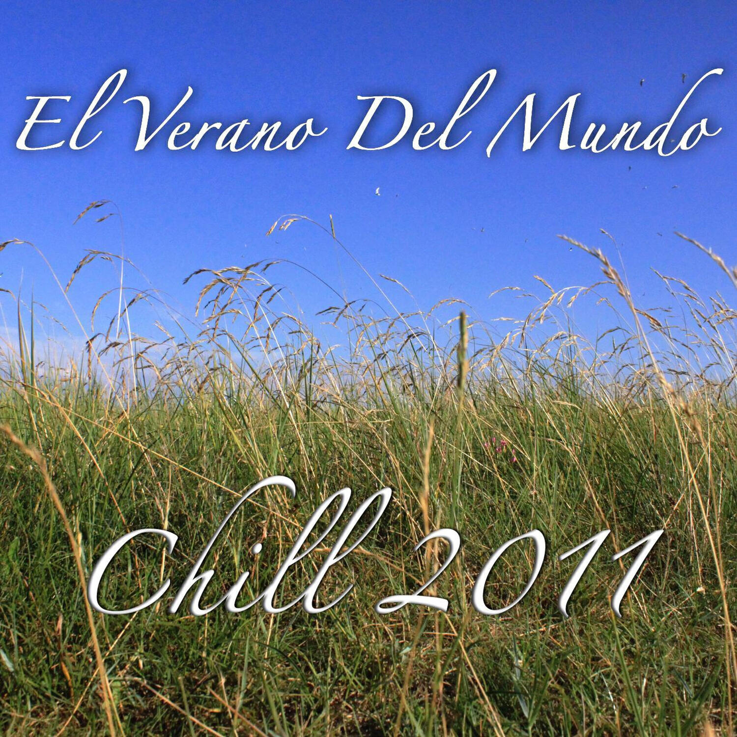 Релиз El Verano Del Mundo Chill 2011 (VDMC 2011) [Vol. 1]