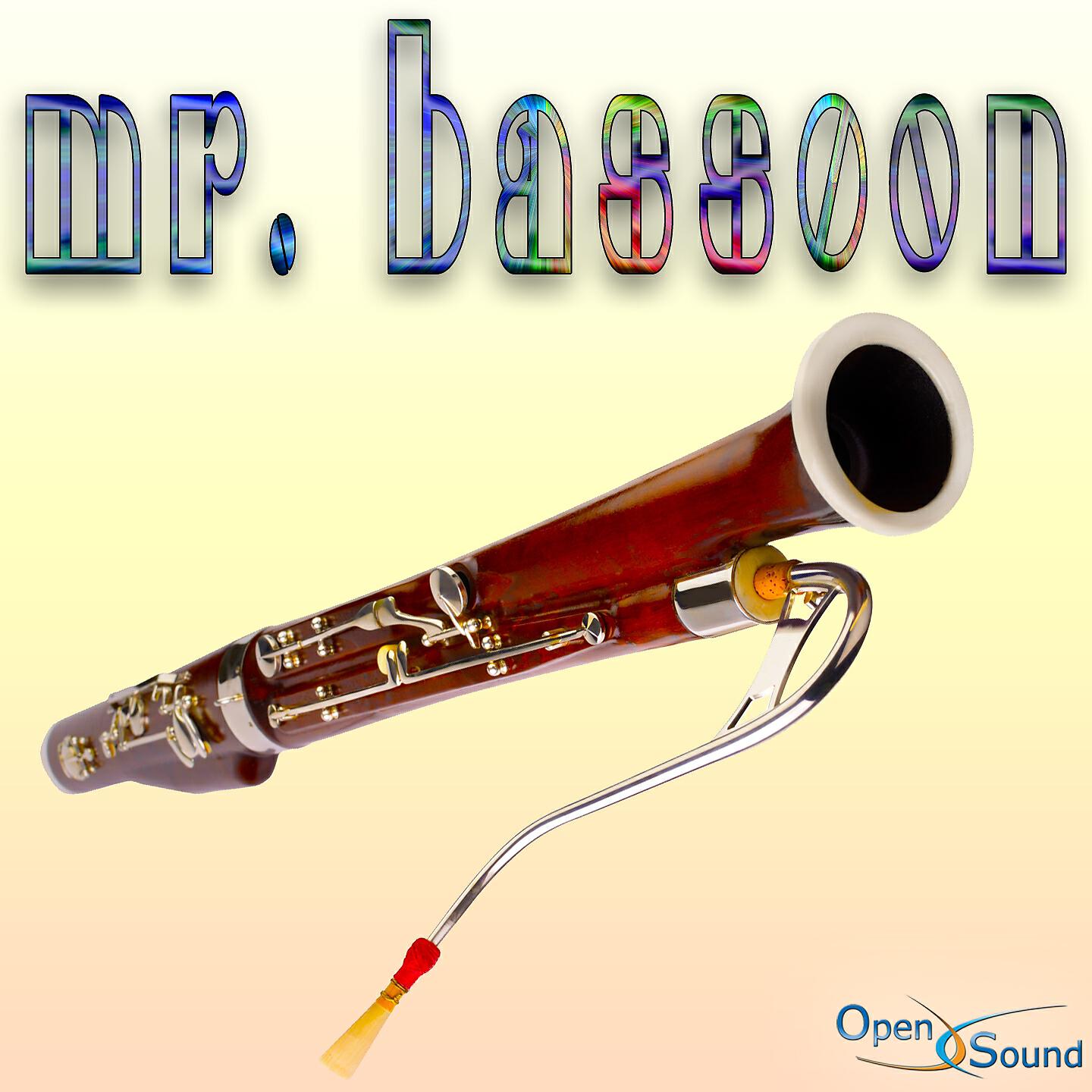 Релиз Mr. Bassoon