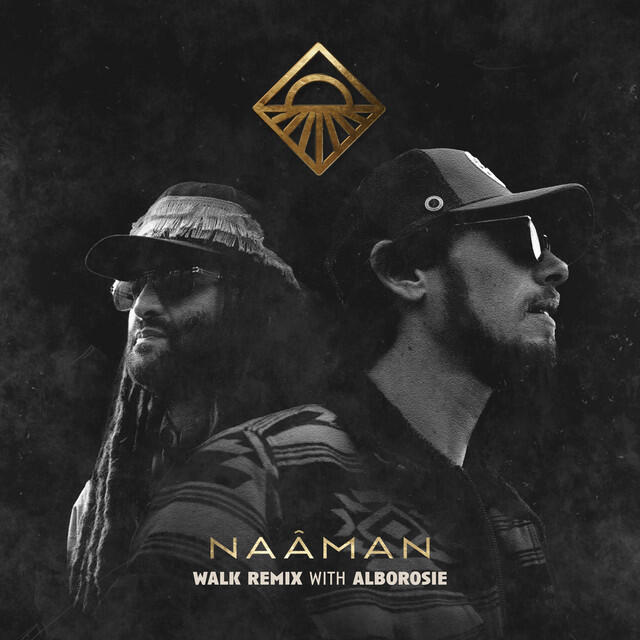 Релиз Walk (with Alborosie) [Remix]