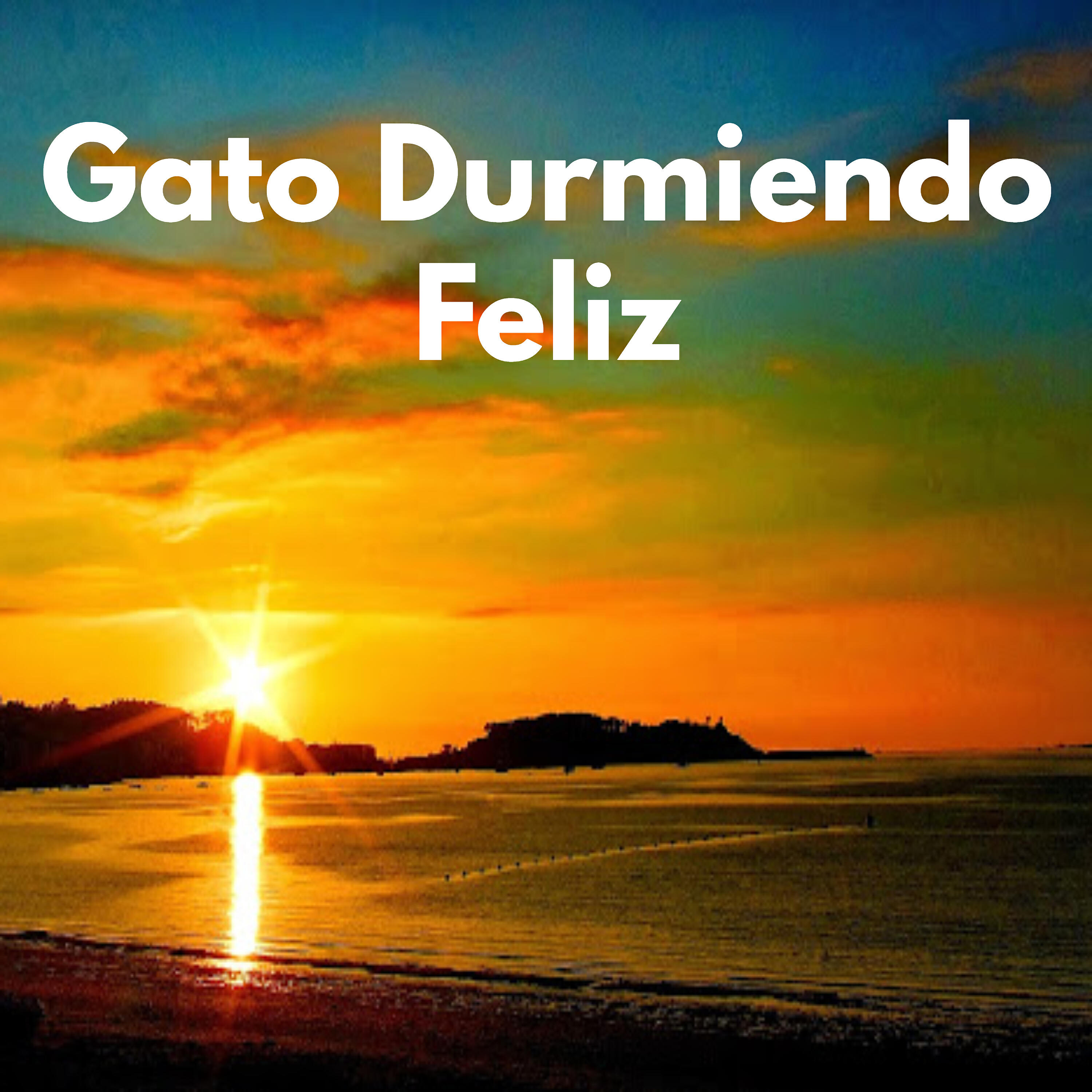 Релиз Gato Durmiendo Feliz
