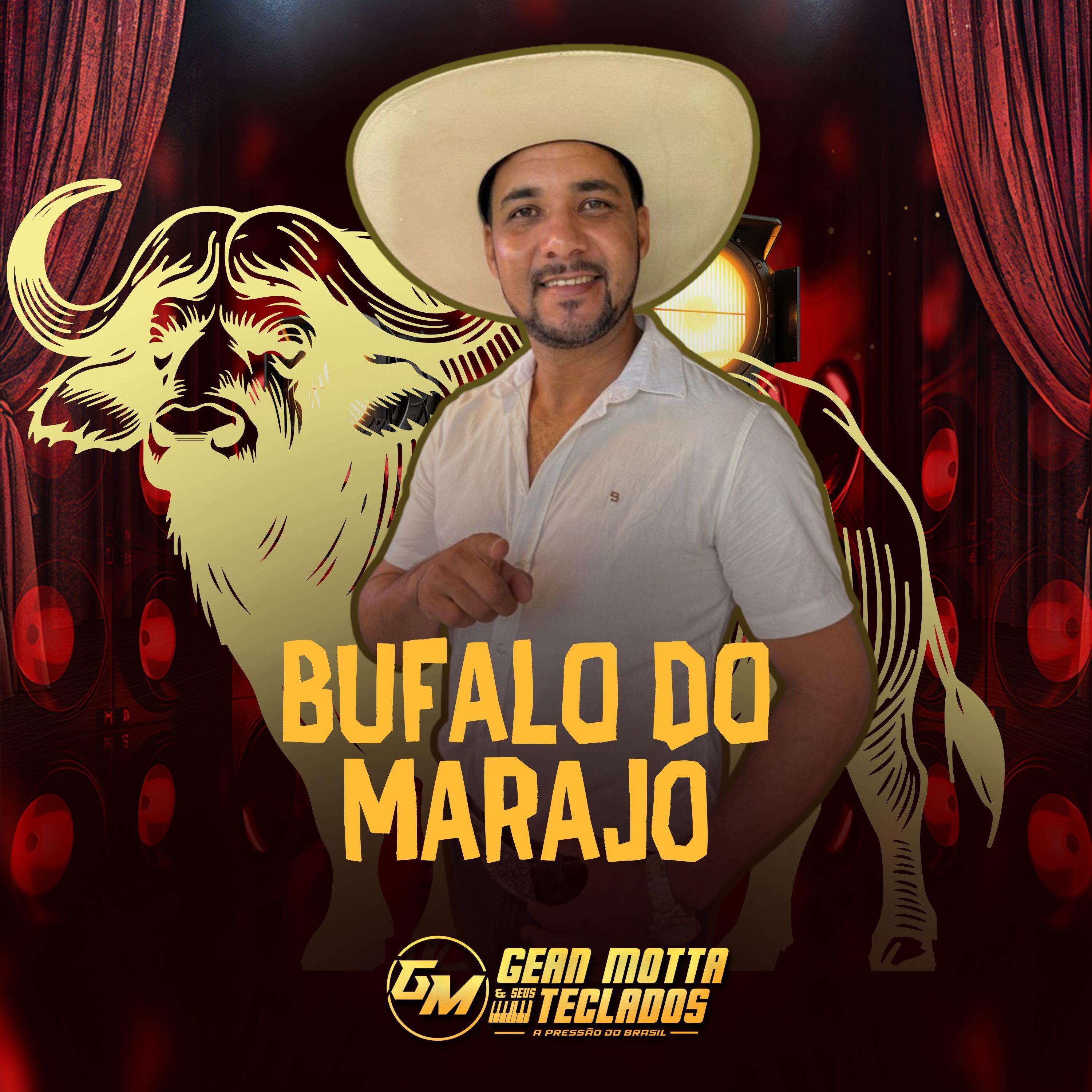 Релиз Bufalo do Marajó