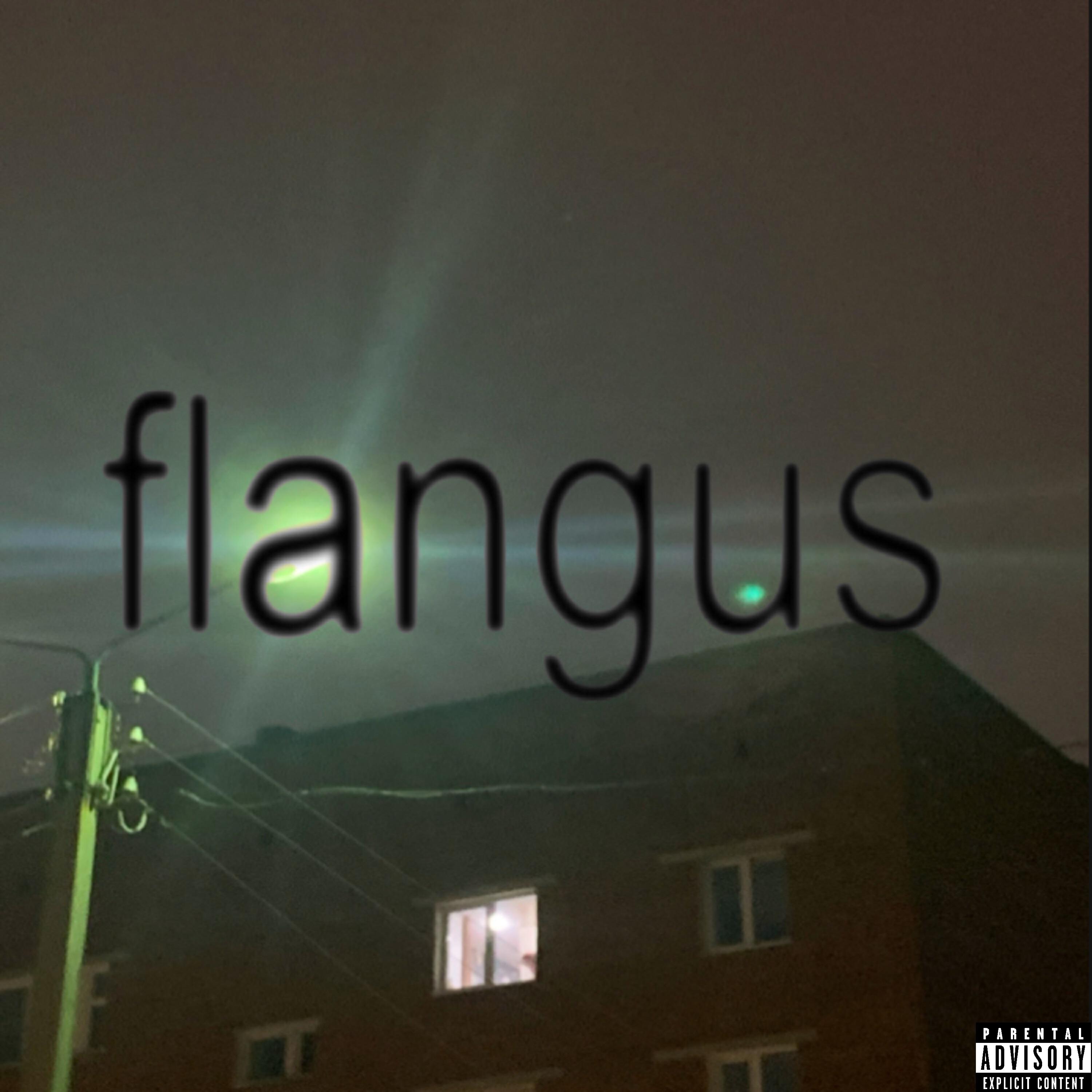 Релиз flangus