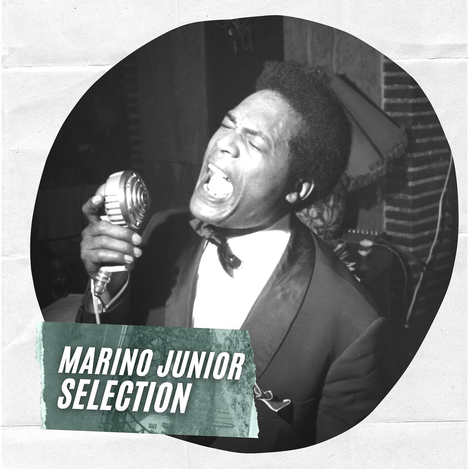 Релиз Marino Junior Selection