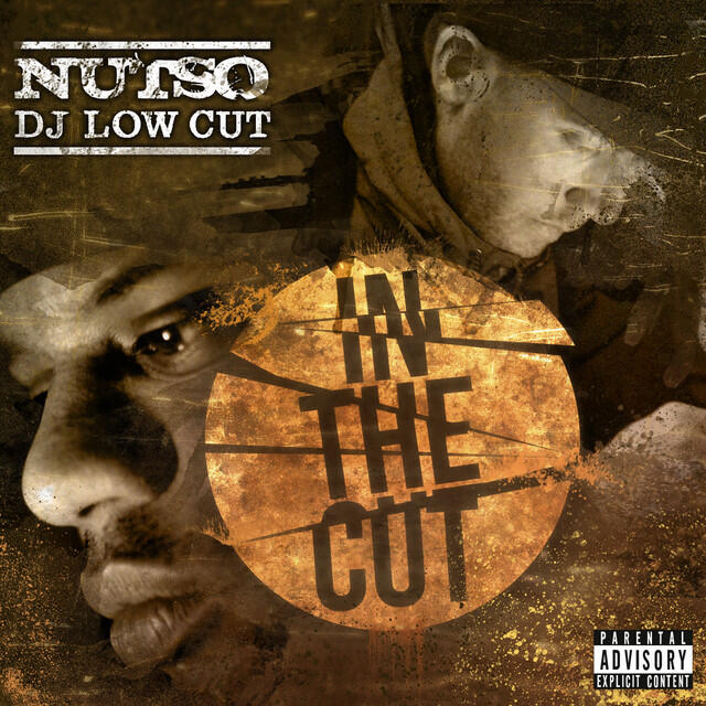 Релиз In The Cut