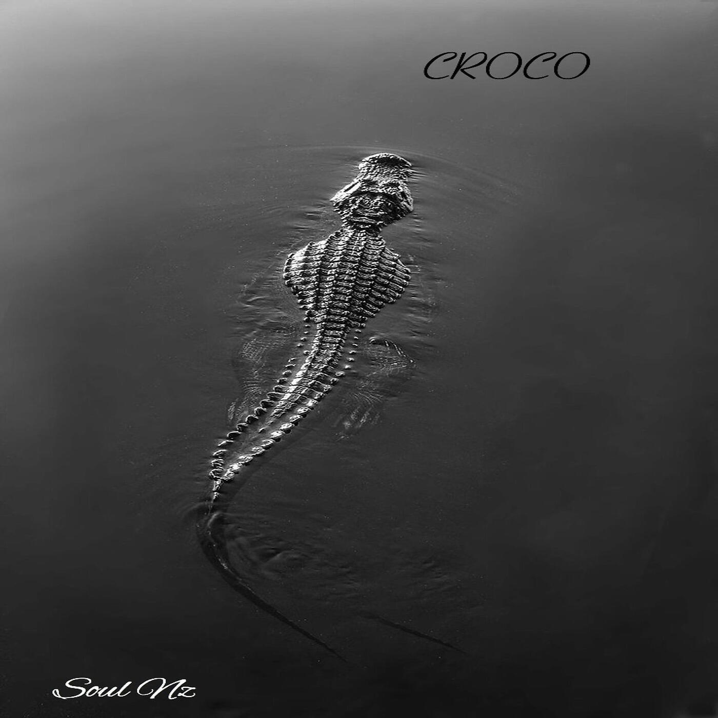 Релиз Croco
