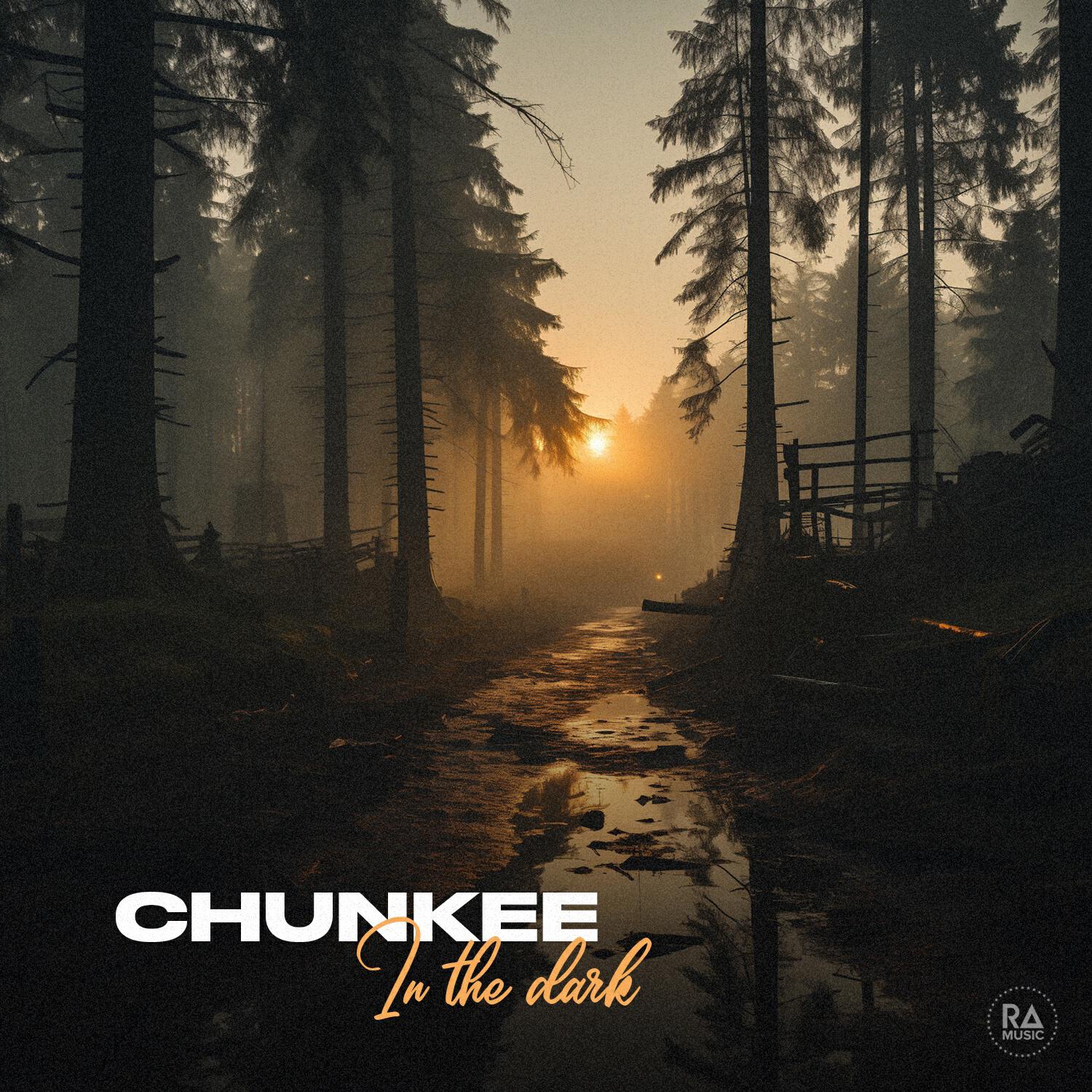 Постер альбома In The Dark