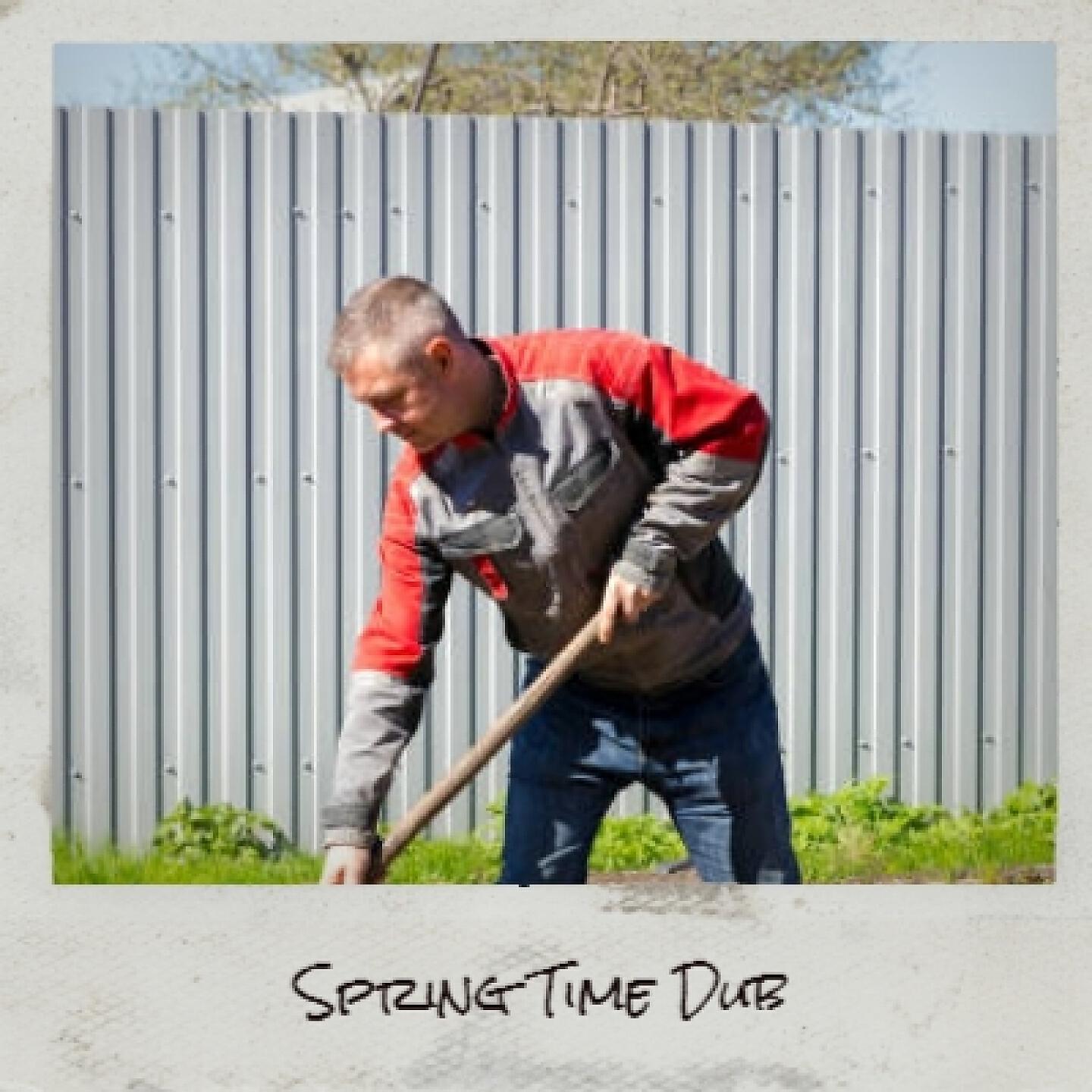 Постер альбома Spring Time Dub