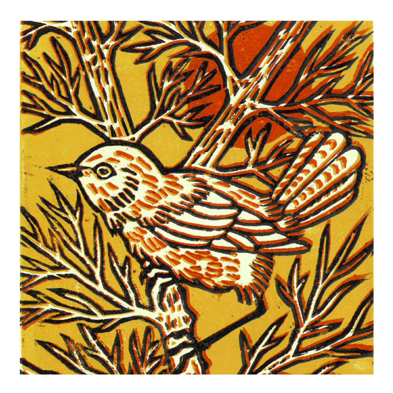 Релиз Pajarito