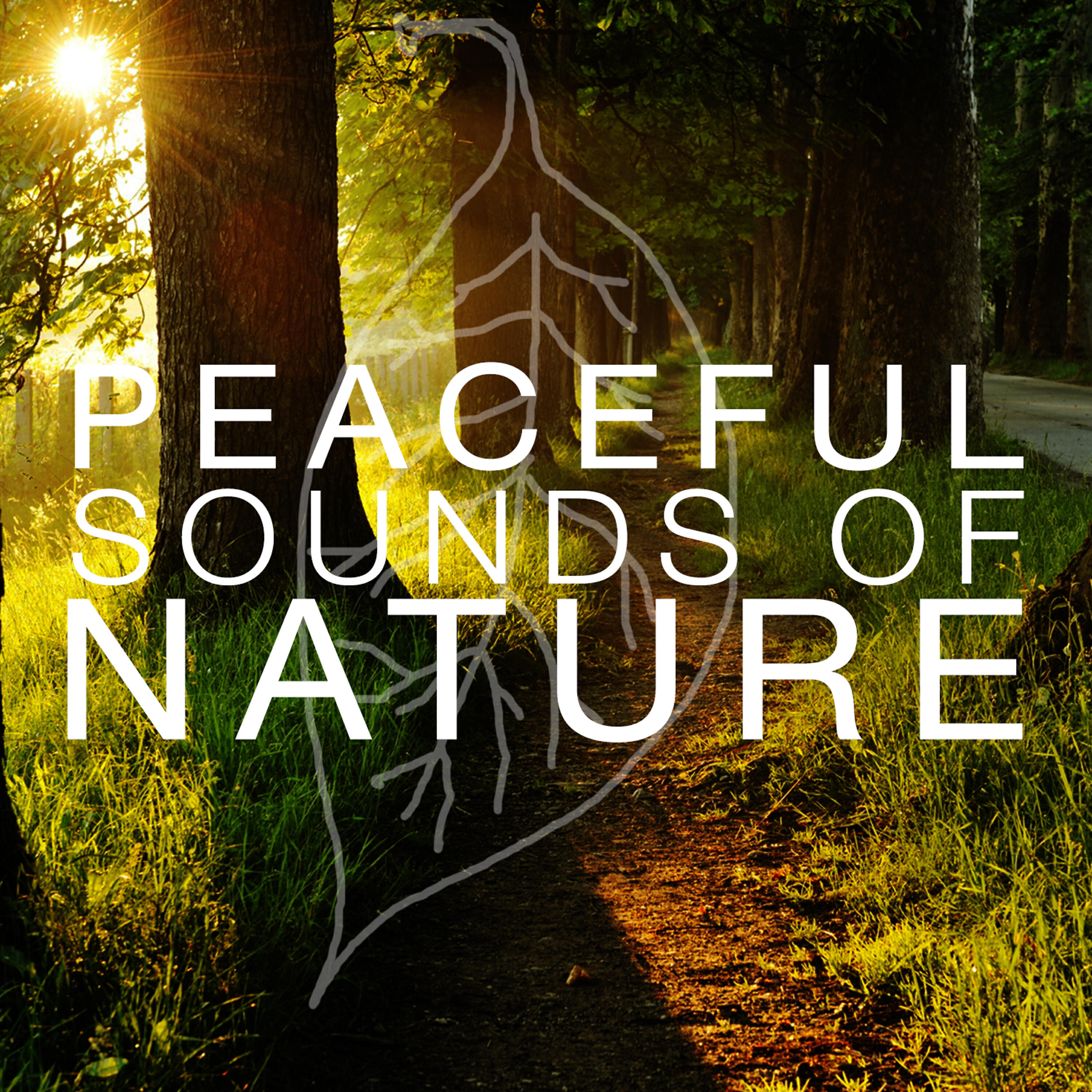 Релиз Peaceful Sounds of Nature
