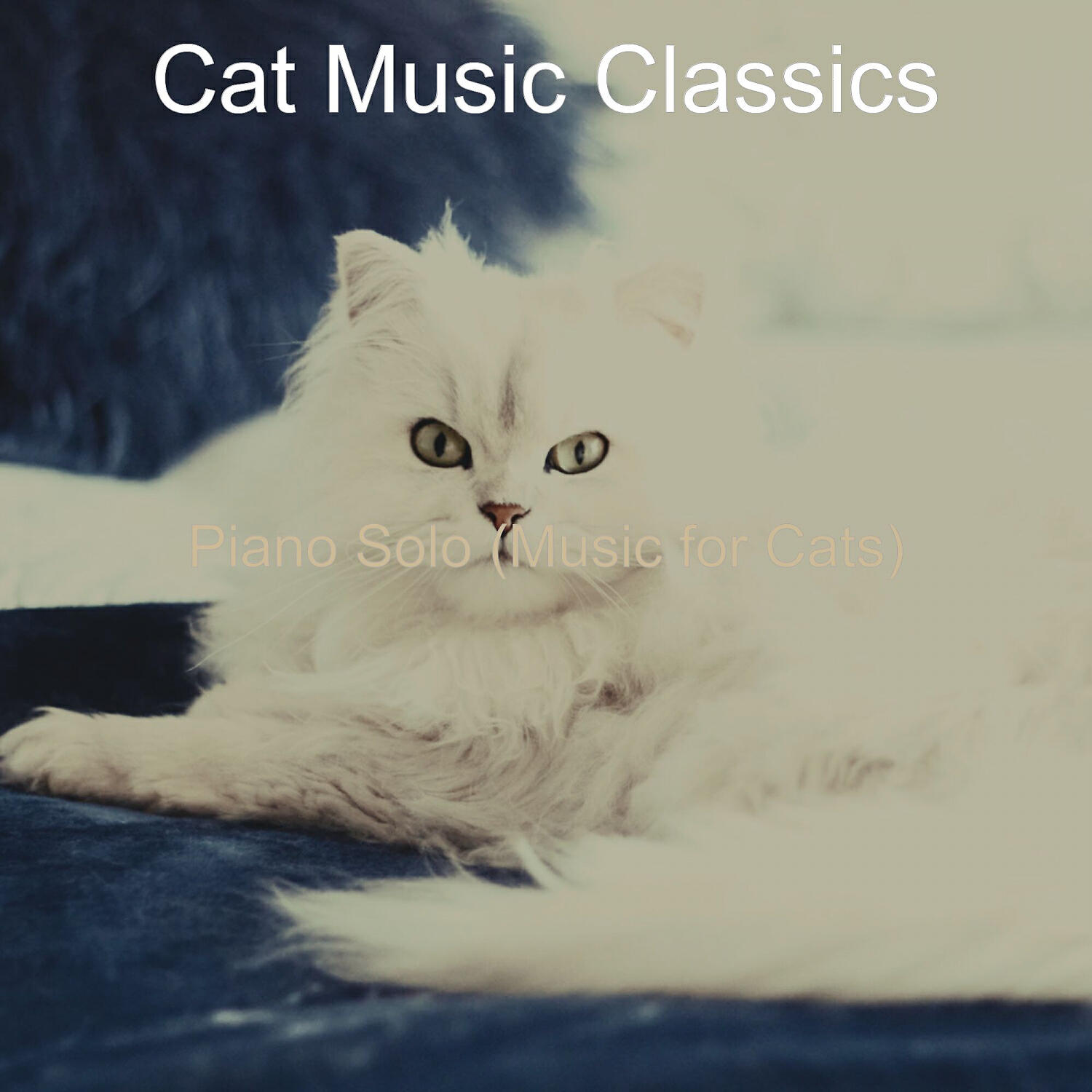 Релиз Piano Solo (Music for Cats)