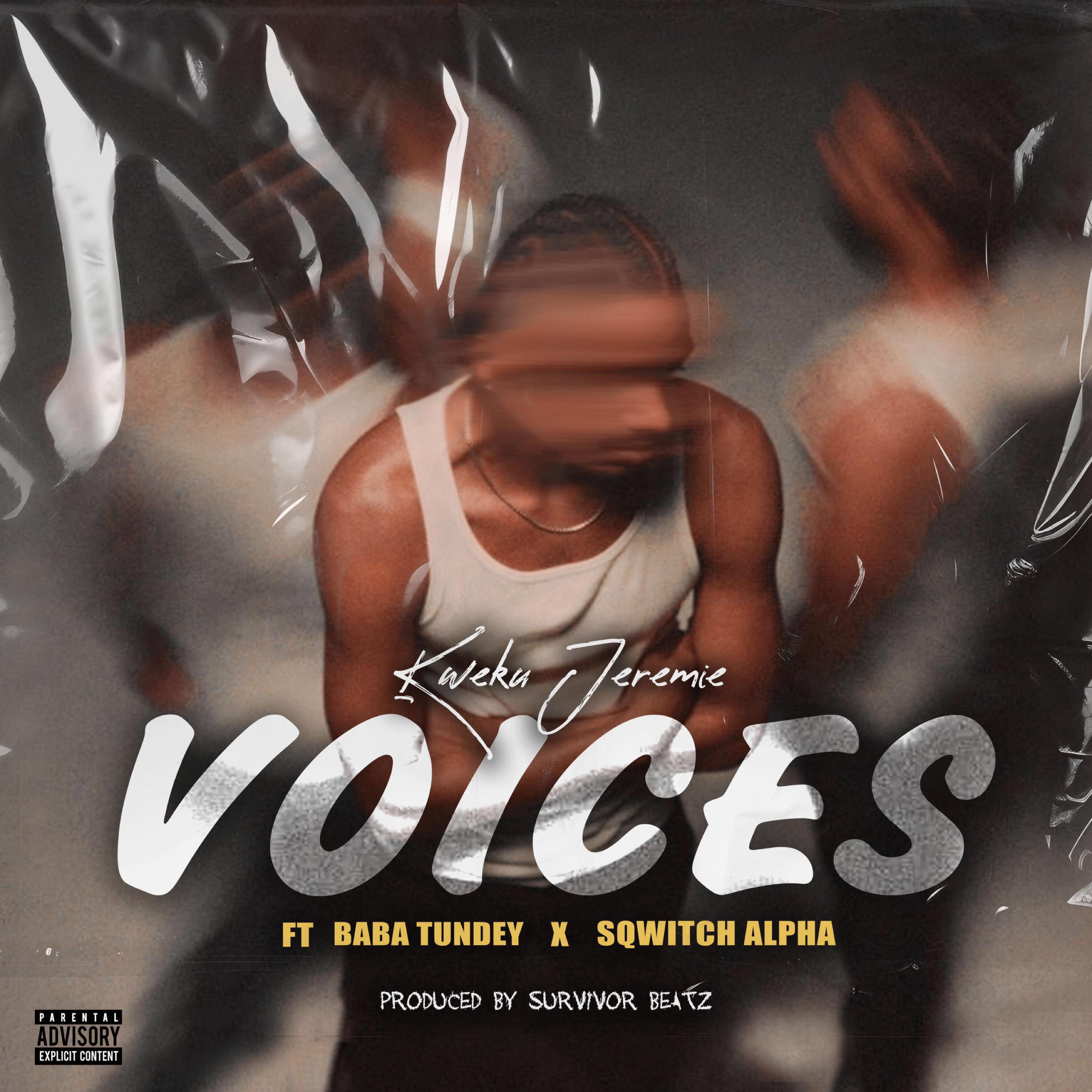 Релиз Voices
