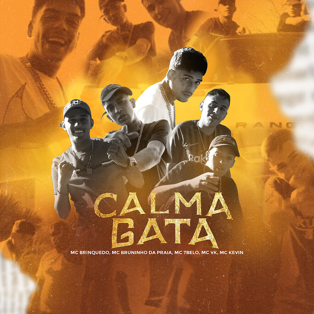 Скачать песню Mc Kevin, Mc 7 Belo, Mc Bruninho da Praia, Mc Vk, Mc Brinquedo - Calma Gata бесплатно в MP3 для Android и iOS