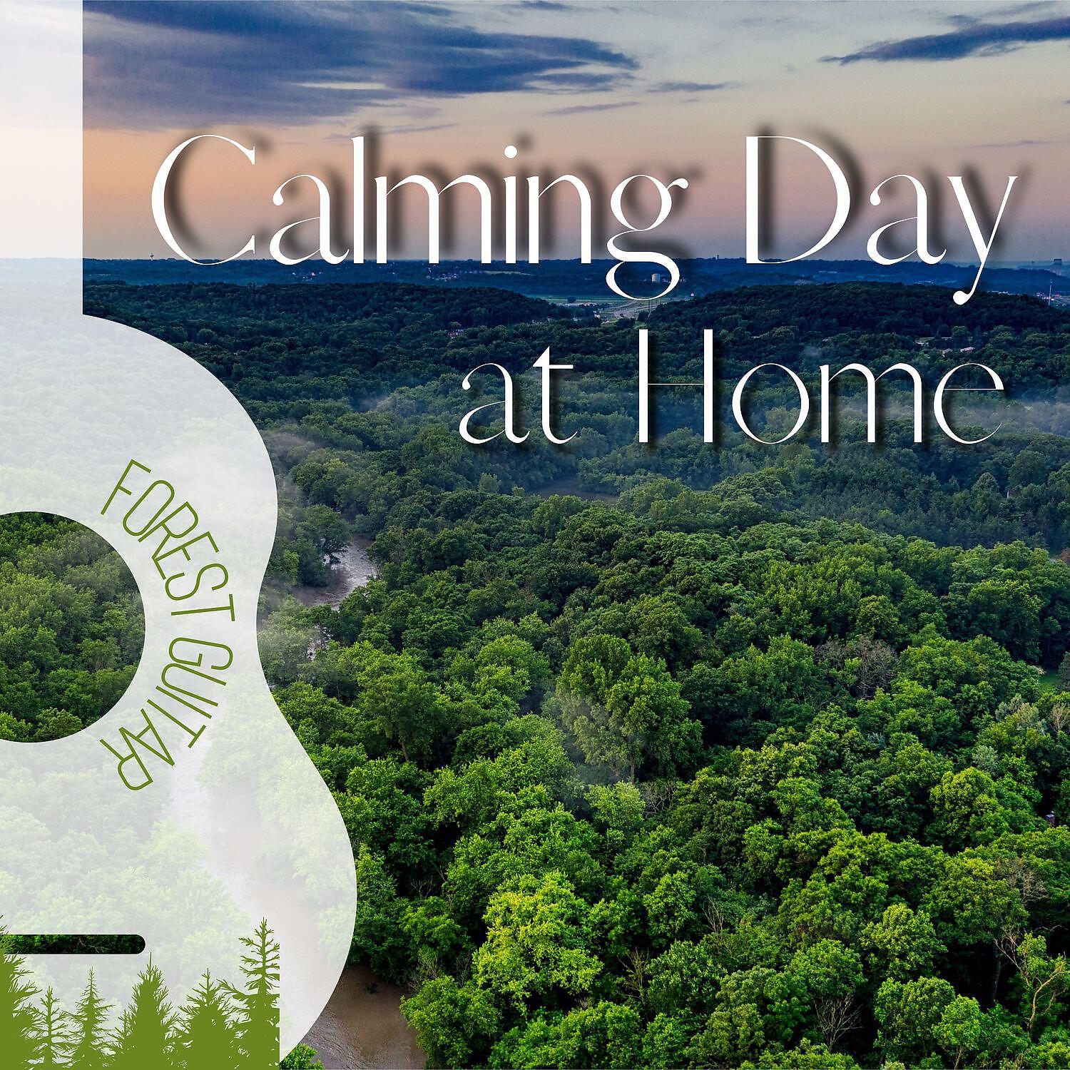 Soothing Relaxation Acoustic Guitar in Nature