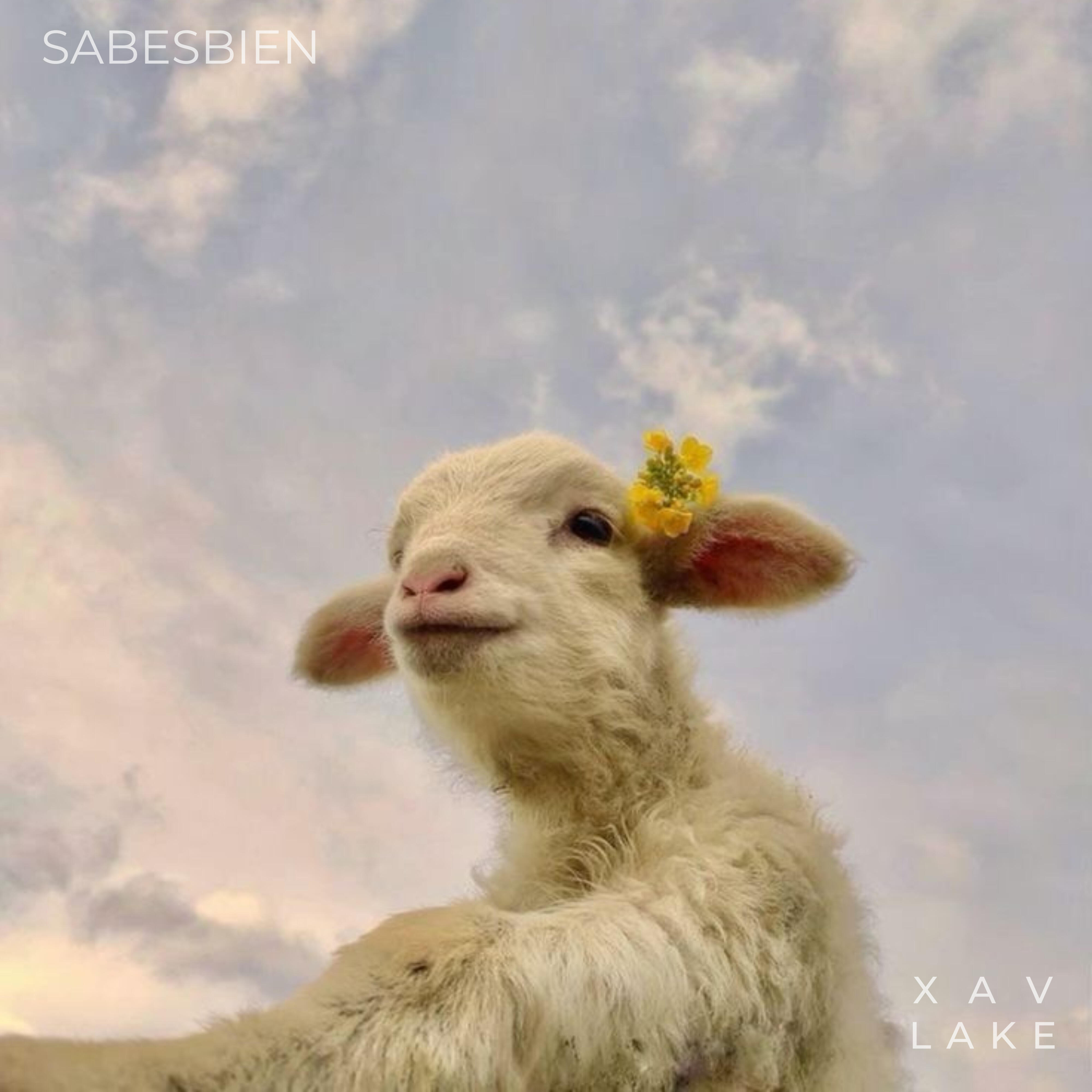 Релиз Sabesbien