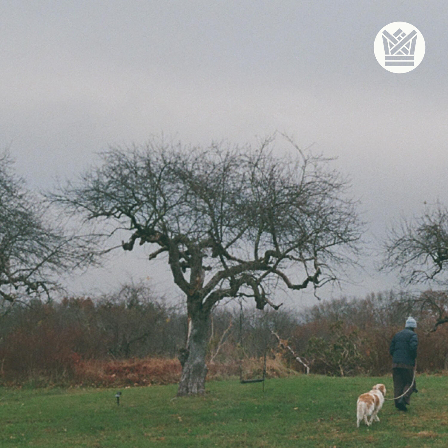 Релиз The Tall Green