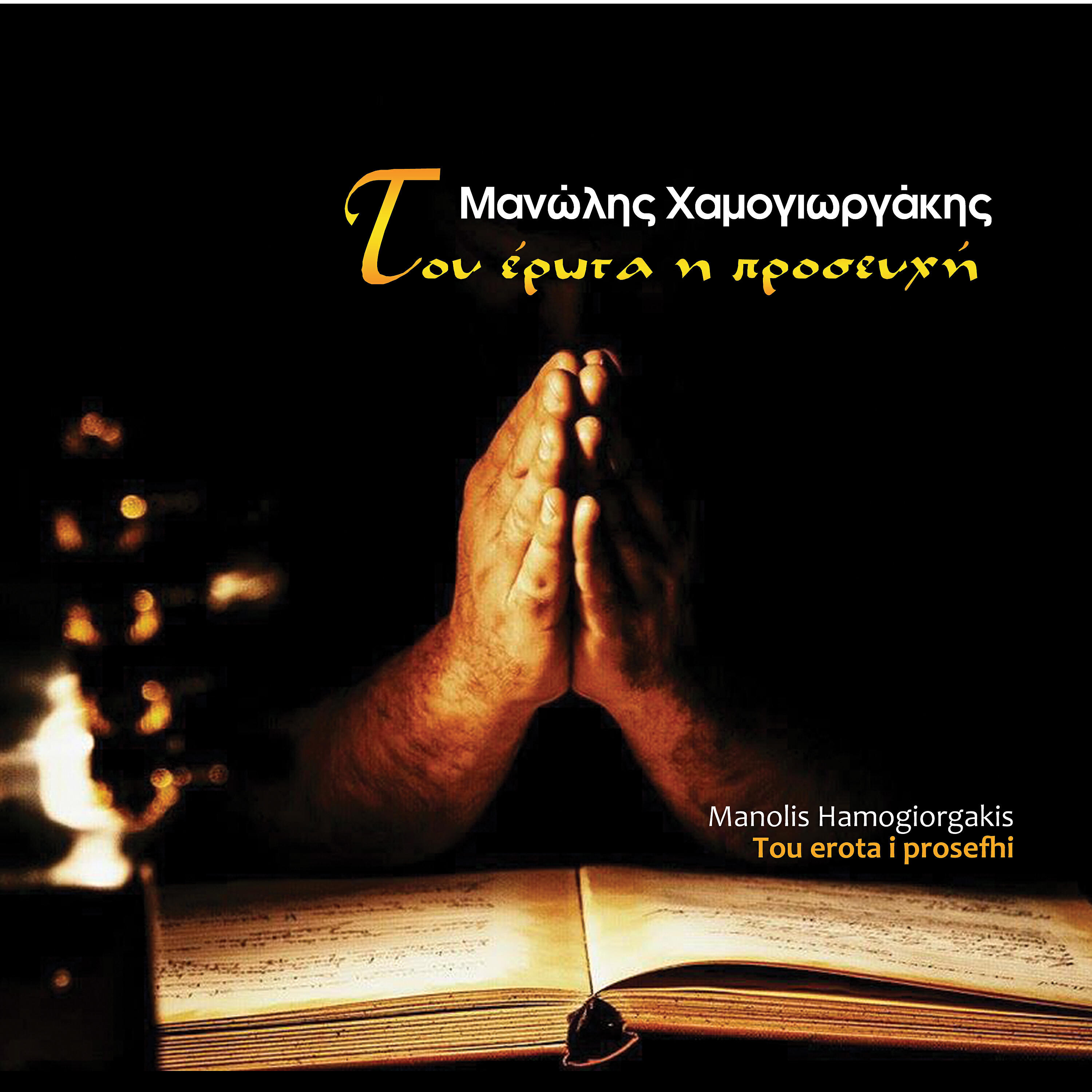 Manolis Hamogiorgakis