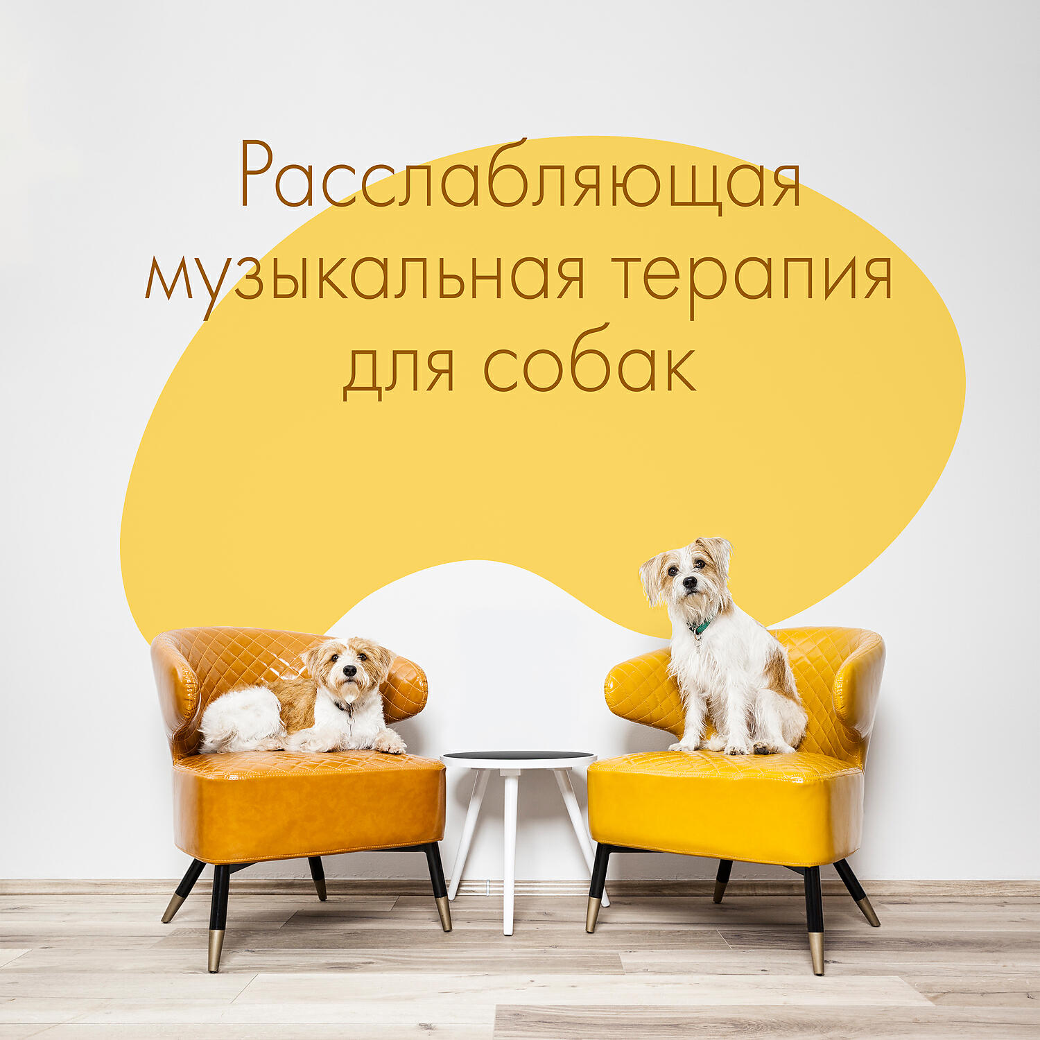 Релиз Расслабляющая музыкальная терапия для собак - мягкий инструмент для успокоения