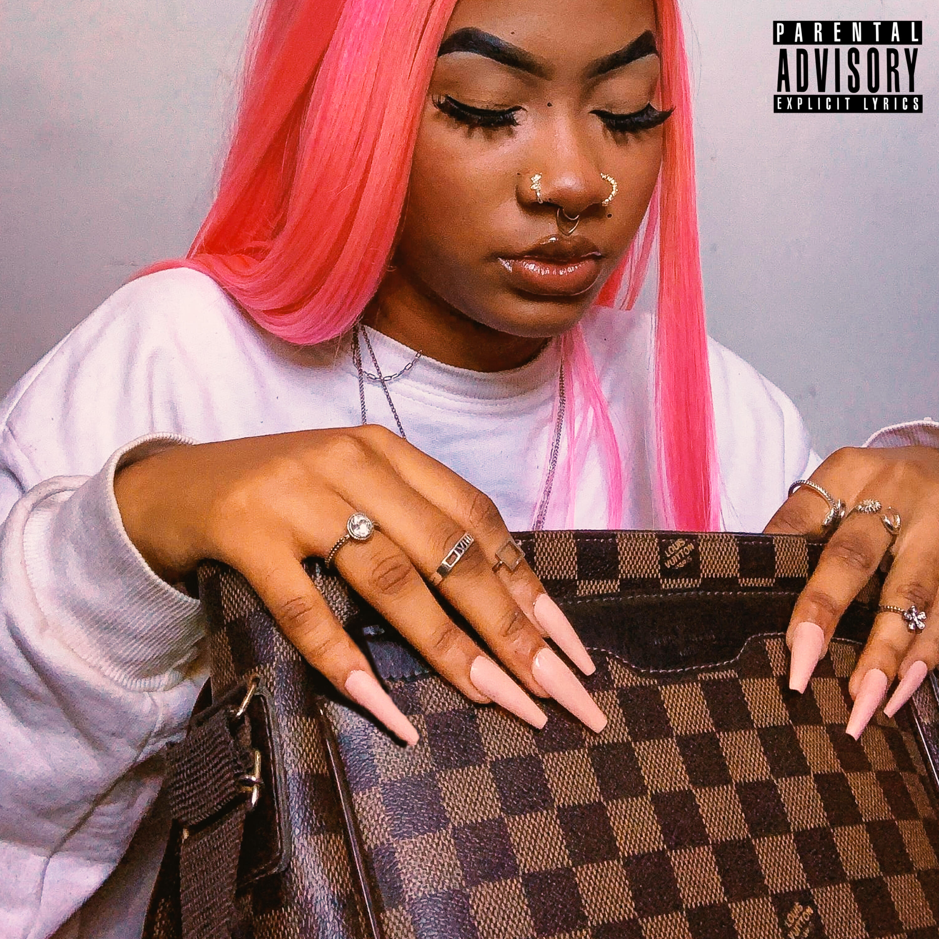 Релиз Bolsa da Louis V