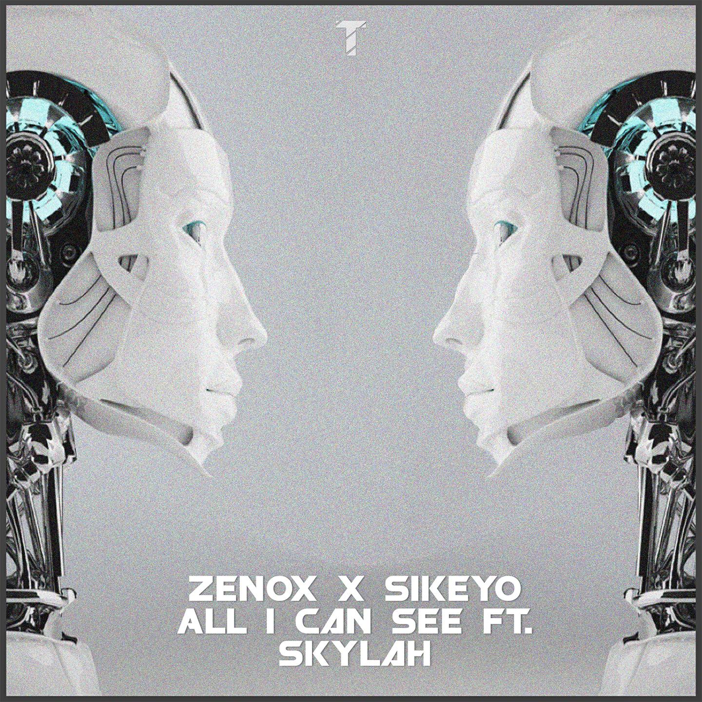 Релиз All I Can See