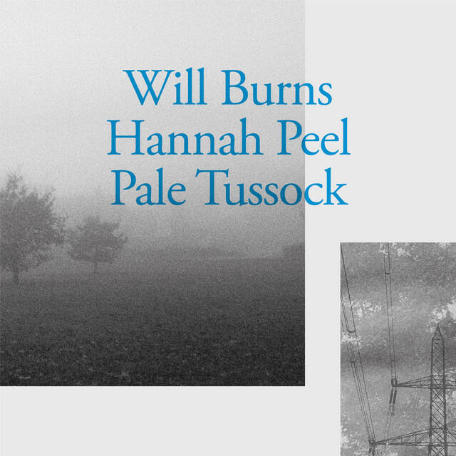 Релиз Pale Tussock