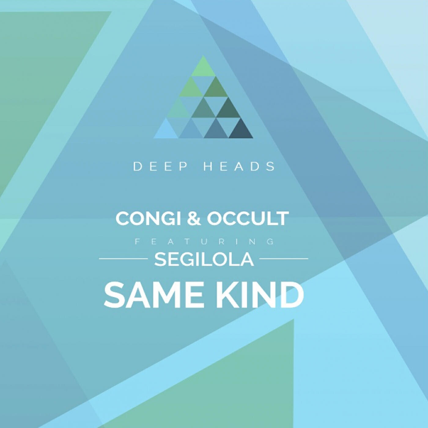 Релиз Same Kind