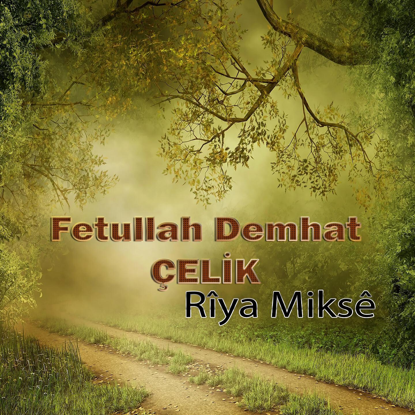 Релиз Rîya Miksê