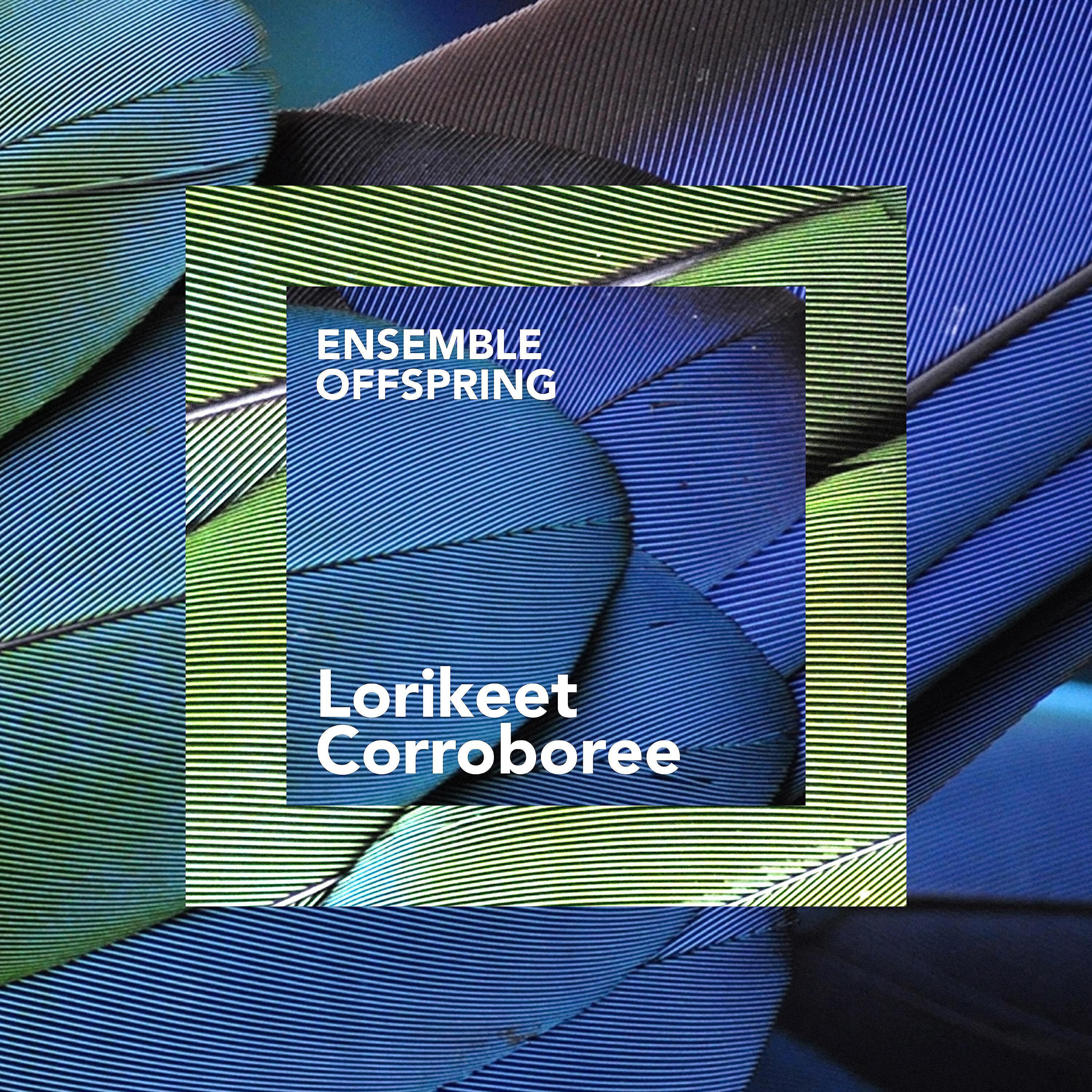 Релиз Lorikeet Corroboree