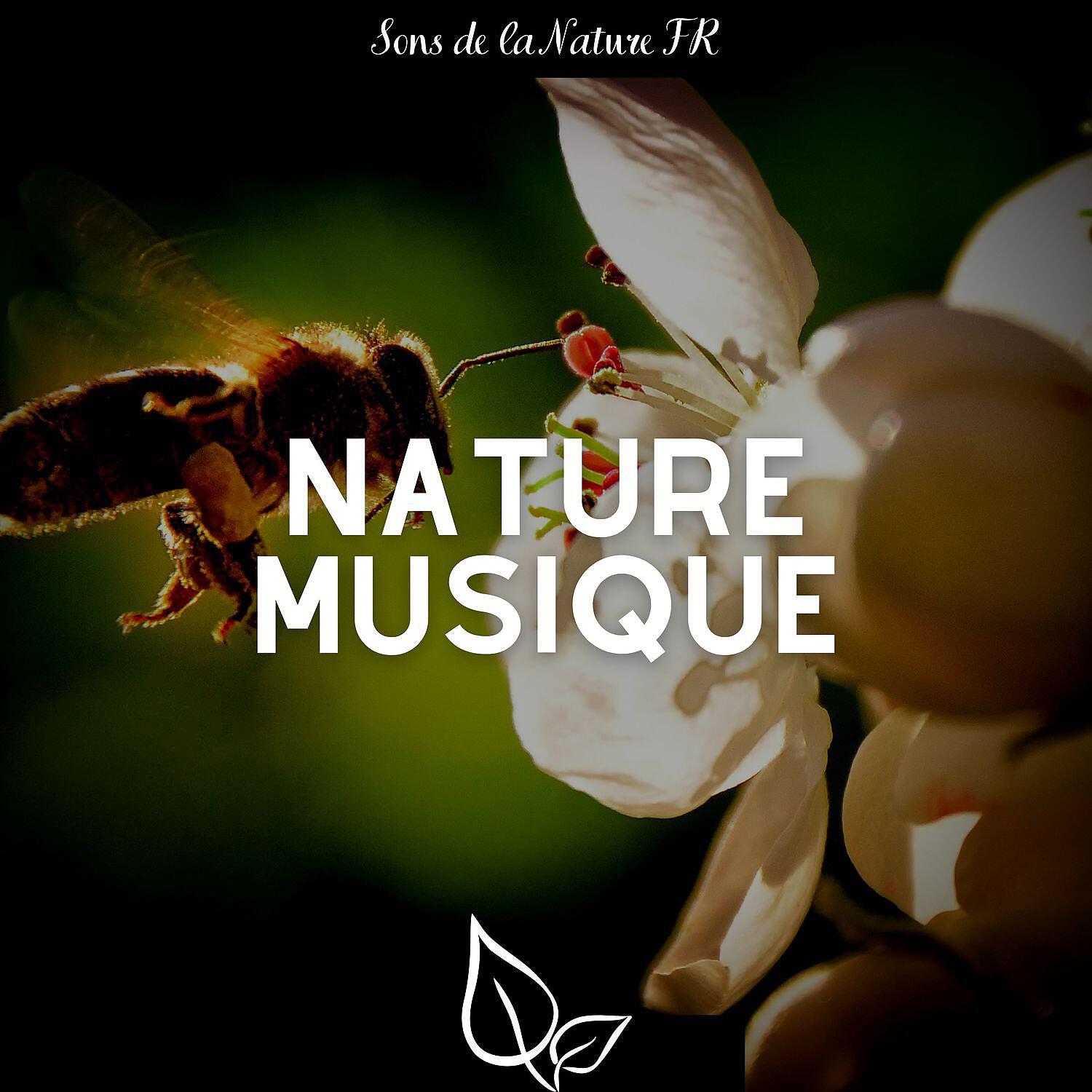 Релиз Nature musique et détente