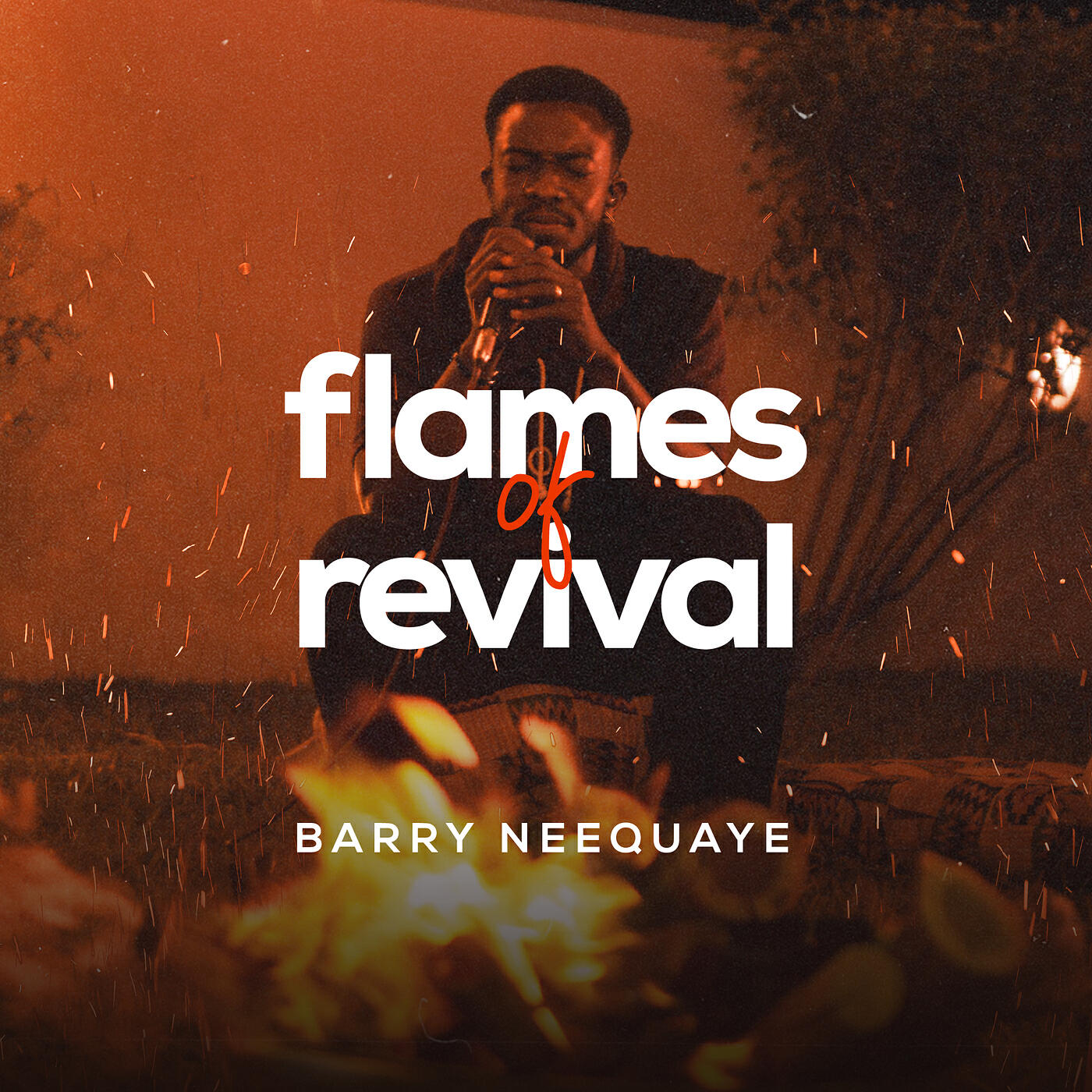Постер альбома Flames of Revival