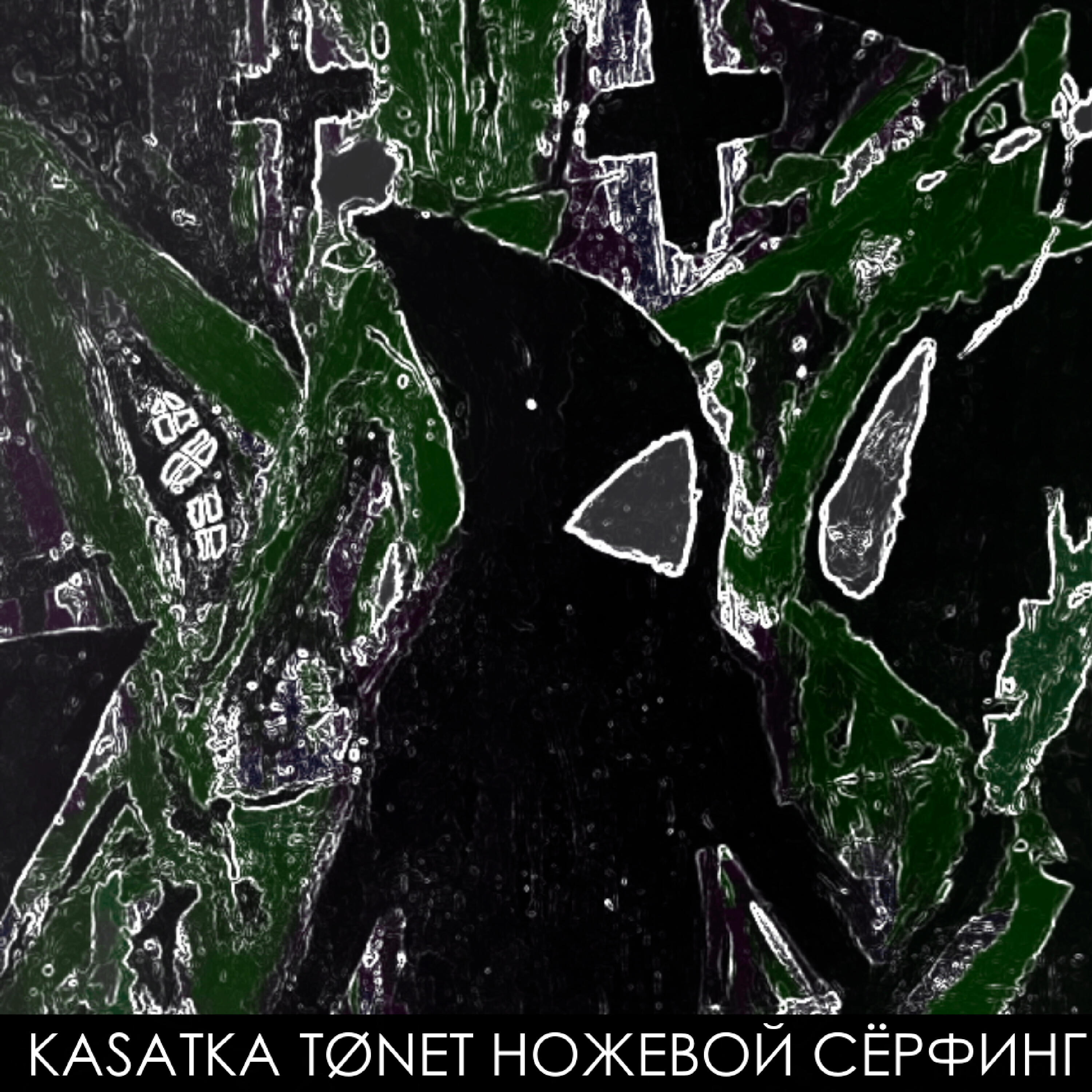 kasatka tonet