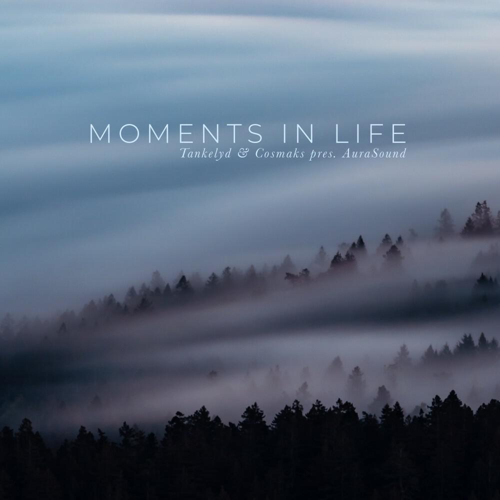 Релиз Moments in Life