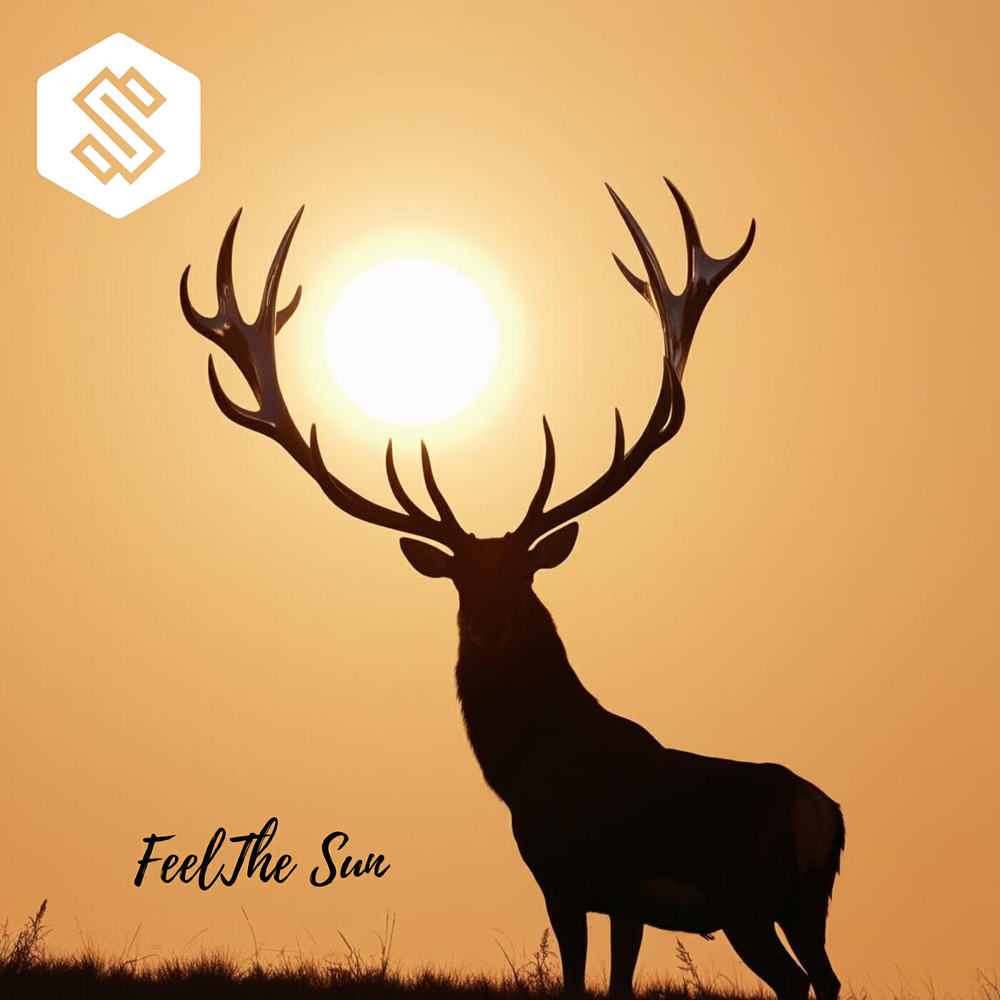 Релиз Feel the Sun