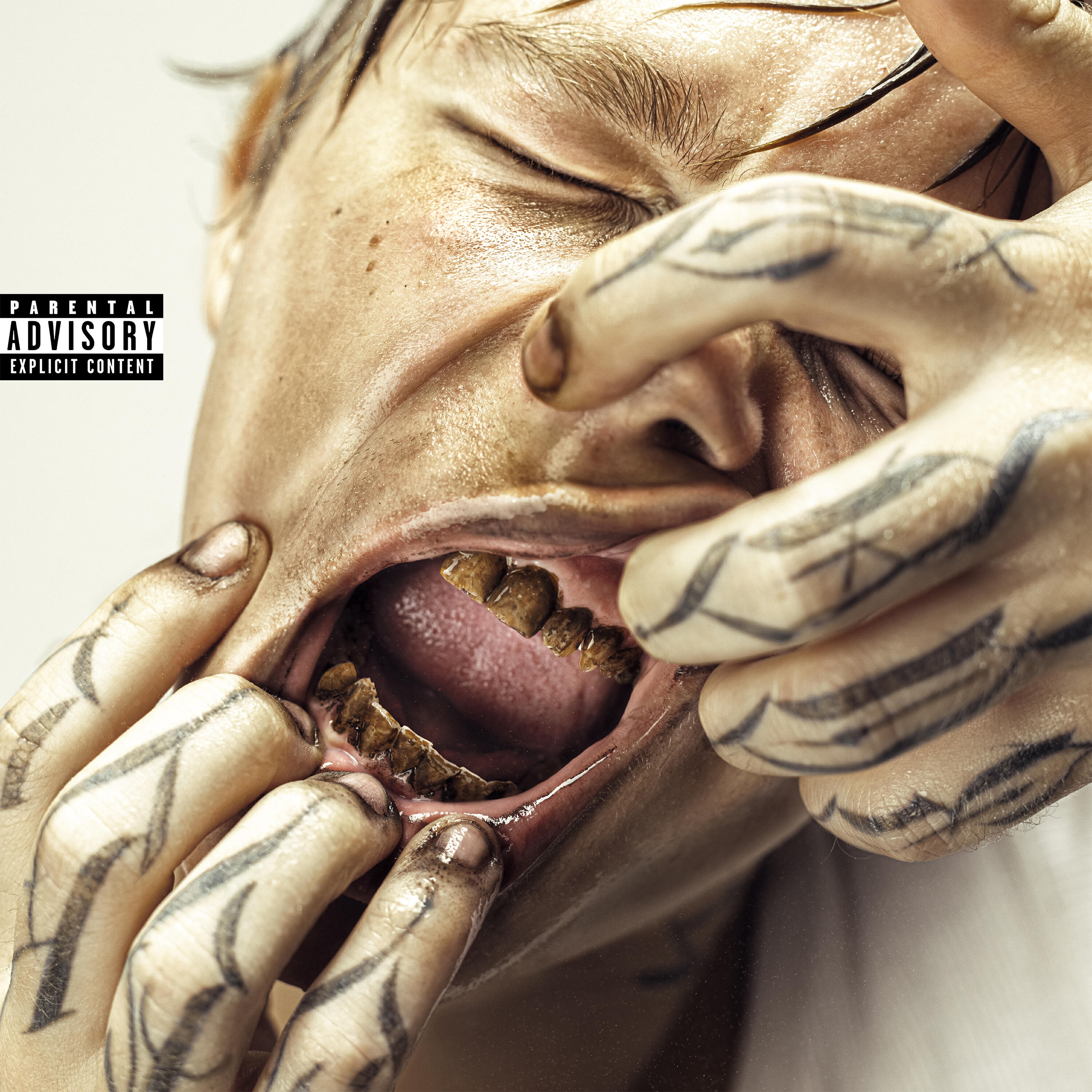 Релиз caries